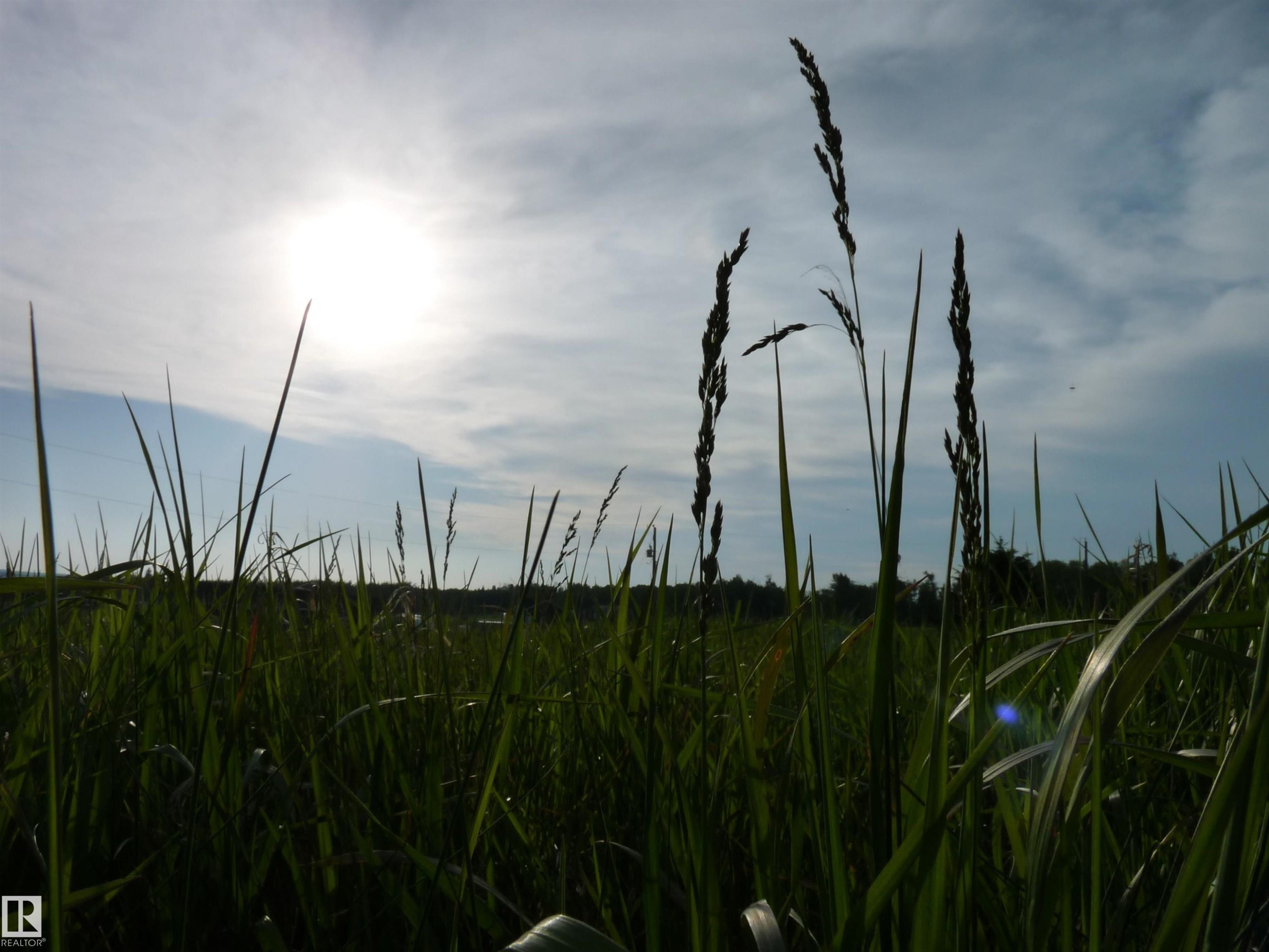 












17 River Ridge Estates

,
Rural Wetaskiwin County,







AB
T0C 2V0

