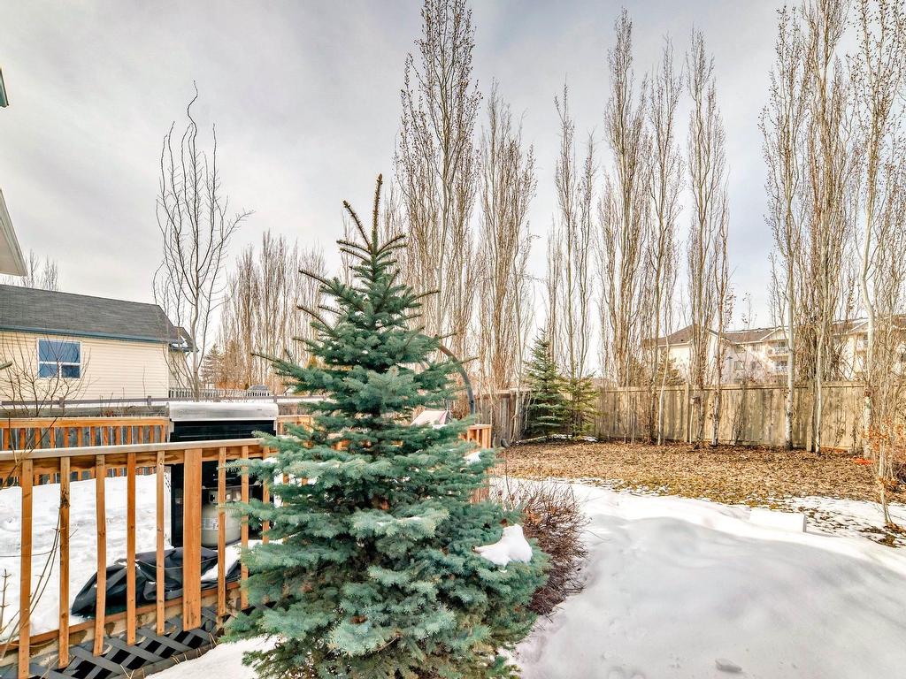 












8722 5 Avenue

,
Edmonton,




AB
T6X 1E2

