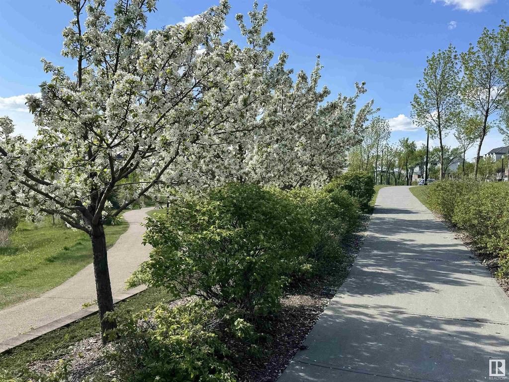 












9923 145 Avenue

,
Edmonton,




AB
T5E 6M2

