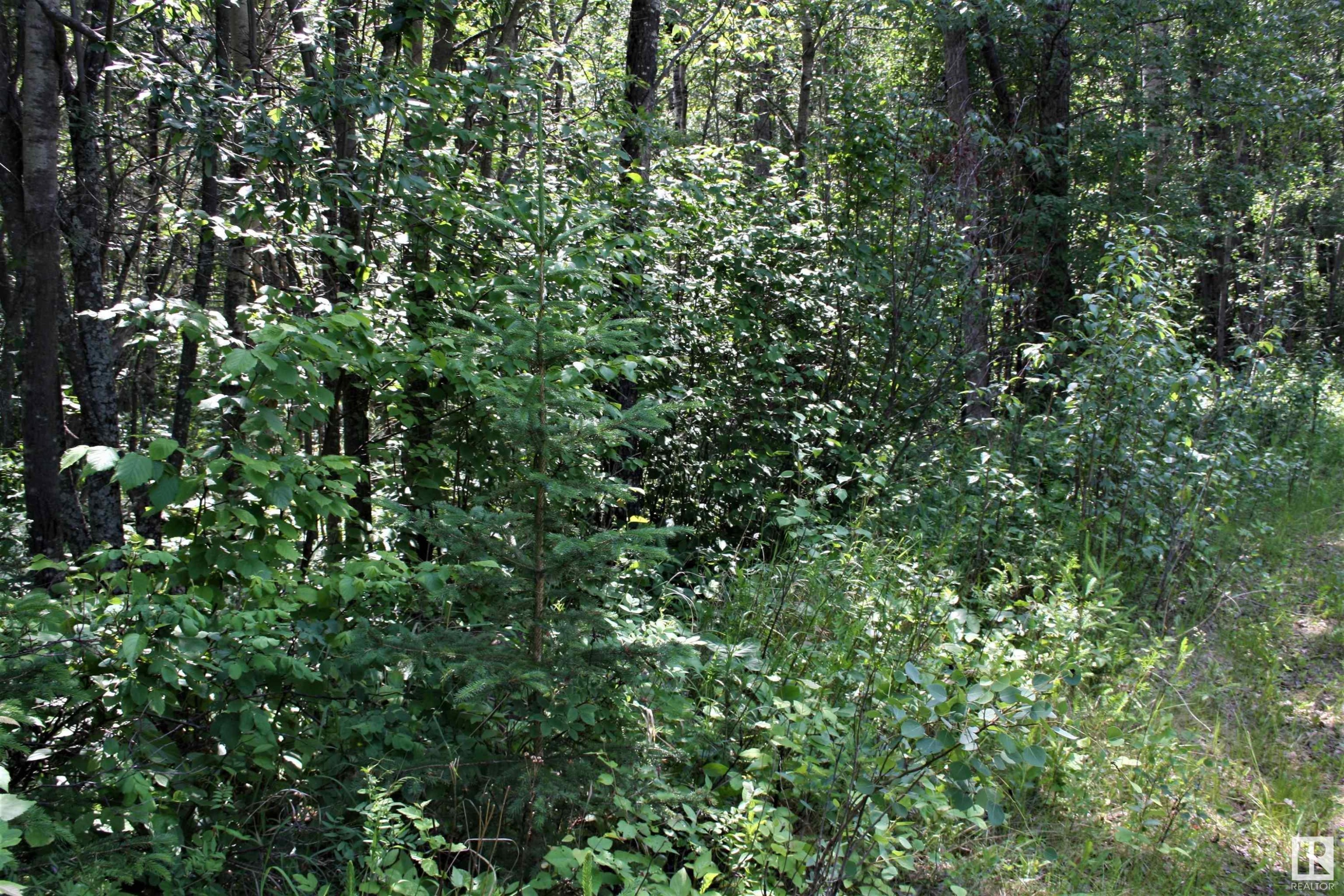 












73 652051 Rng Rd 224

,
Rural Athabasca County,







AB
T9S 1B9


