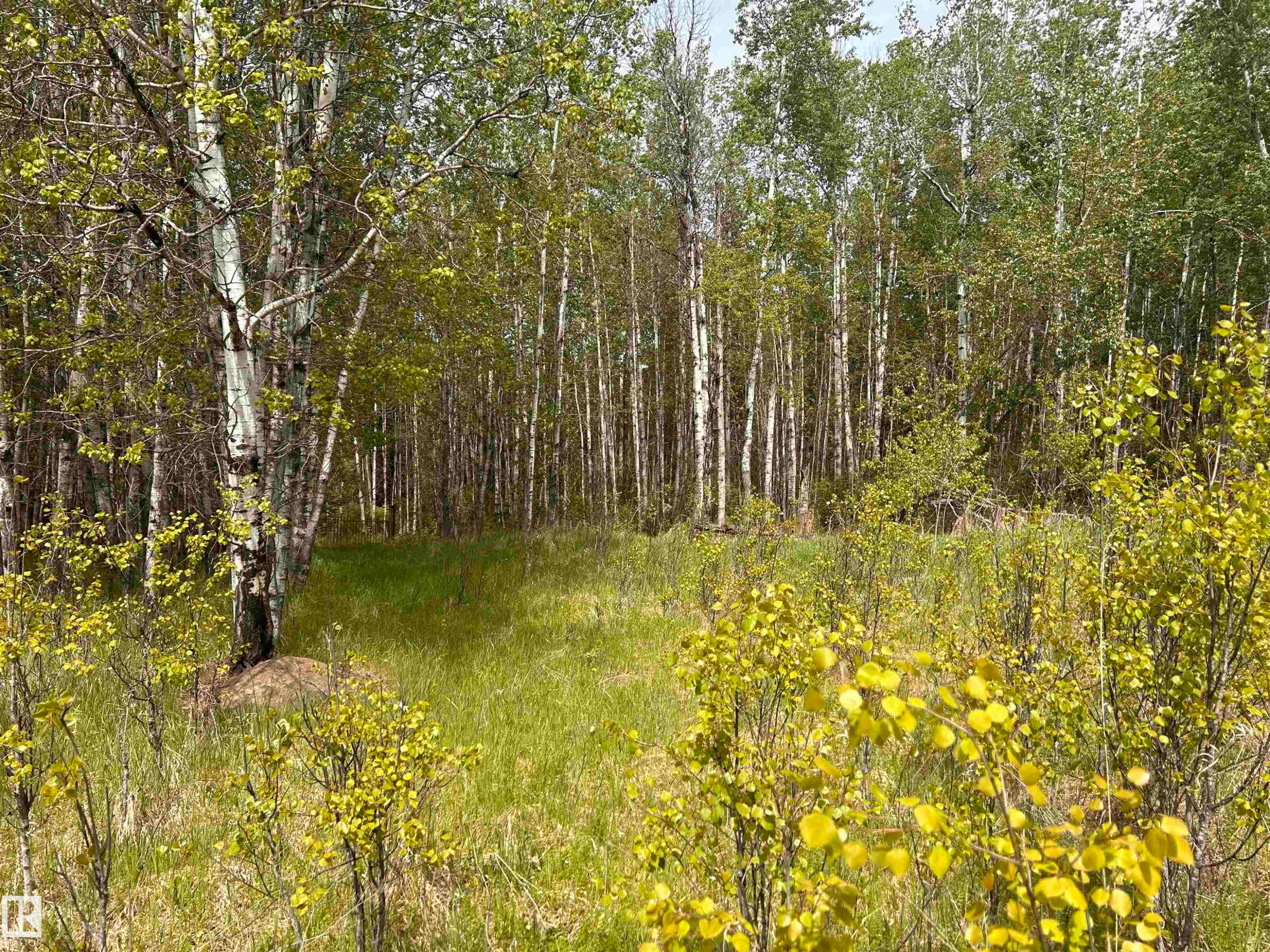 












SE-22-63-23-W4

,
Rural Athabasca County,







AB
T0G 1T0

