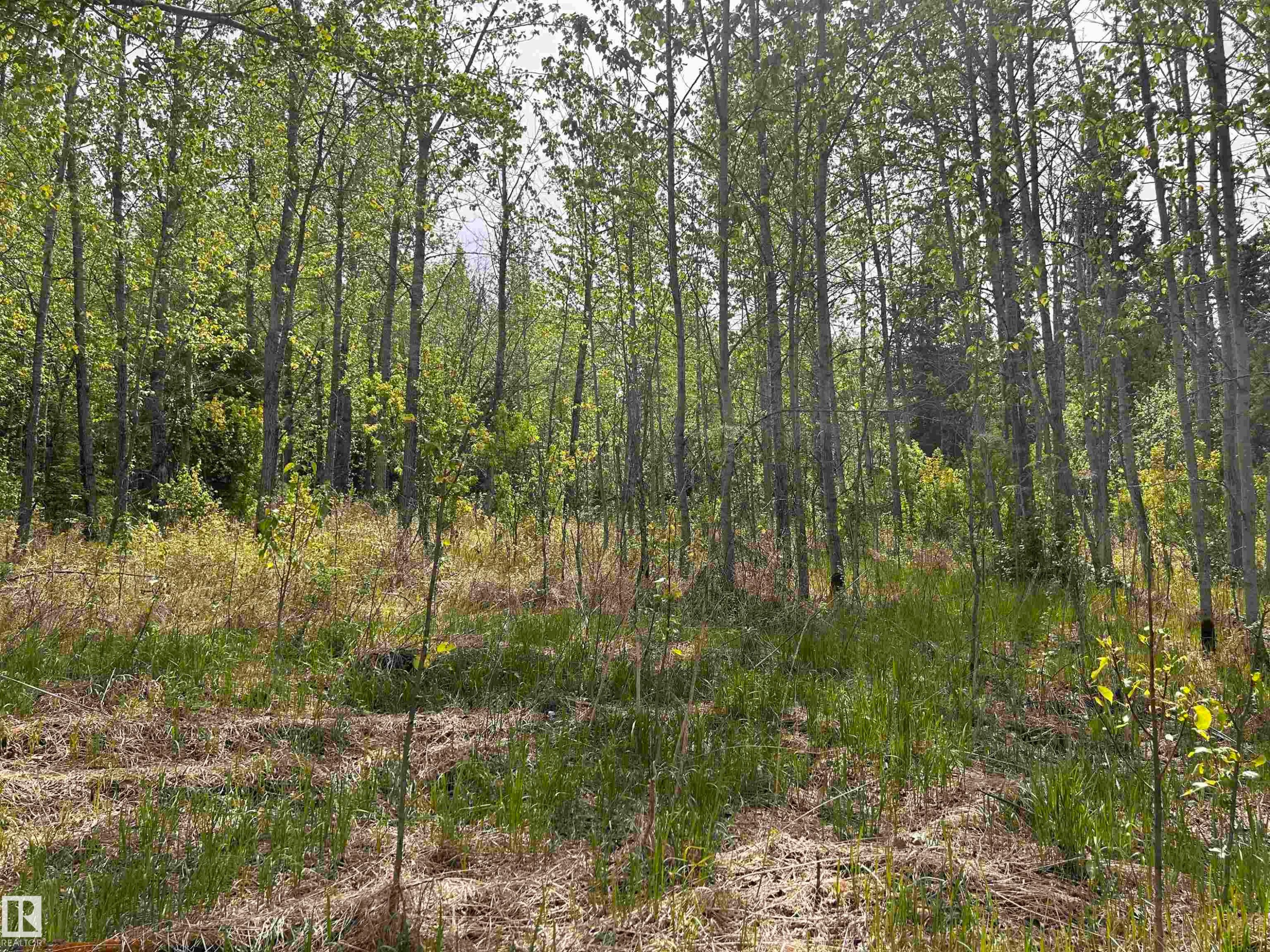 












SE-22-63-23-W4

,
Rural Athabasca County,







AB
T0G 1T0

