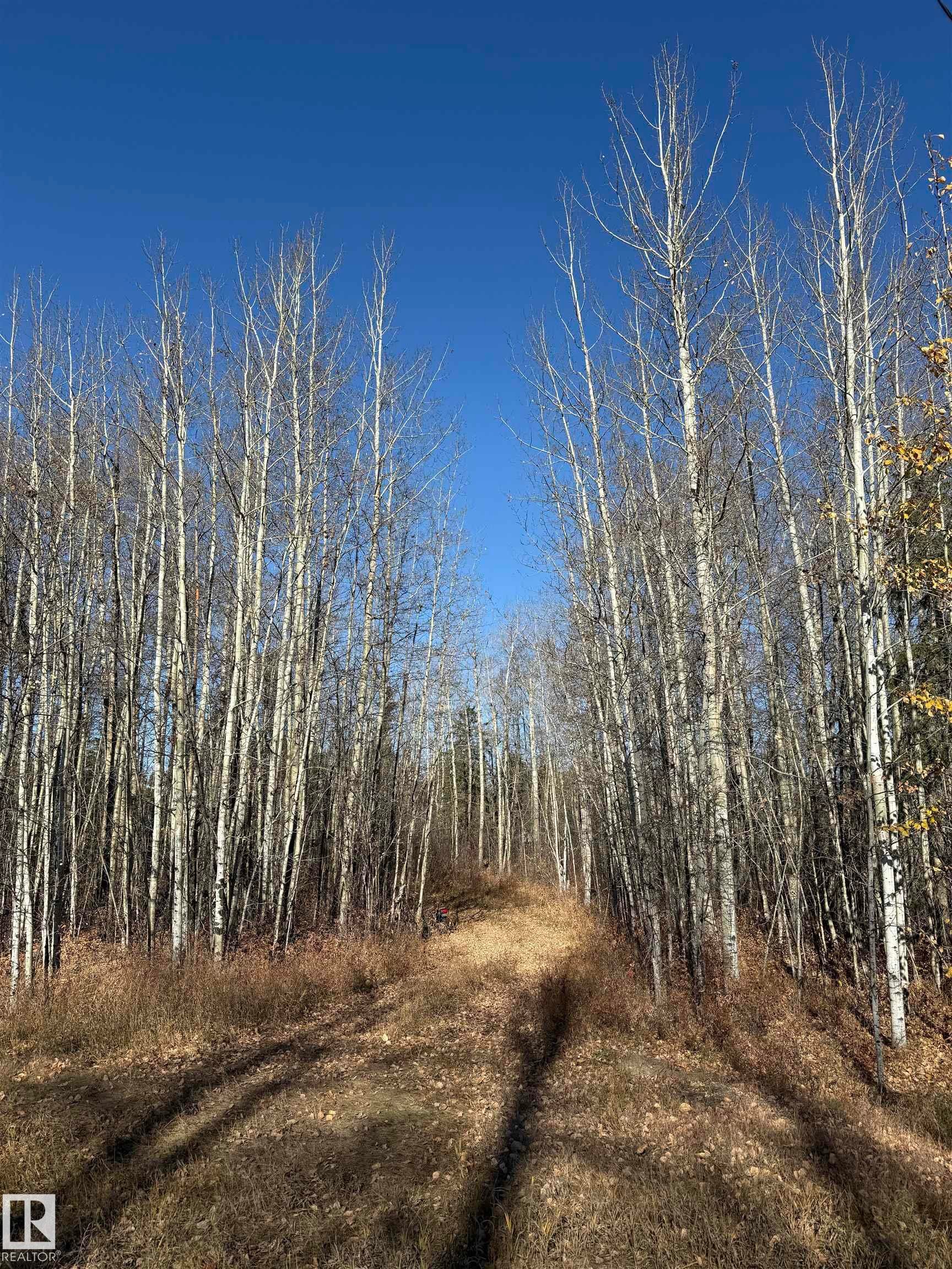 












49 50322 RGE ROAD 10

,
Rural Parkland County,







AB
T7Y 2A1

