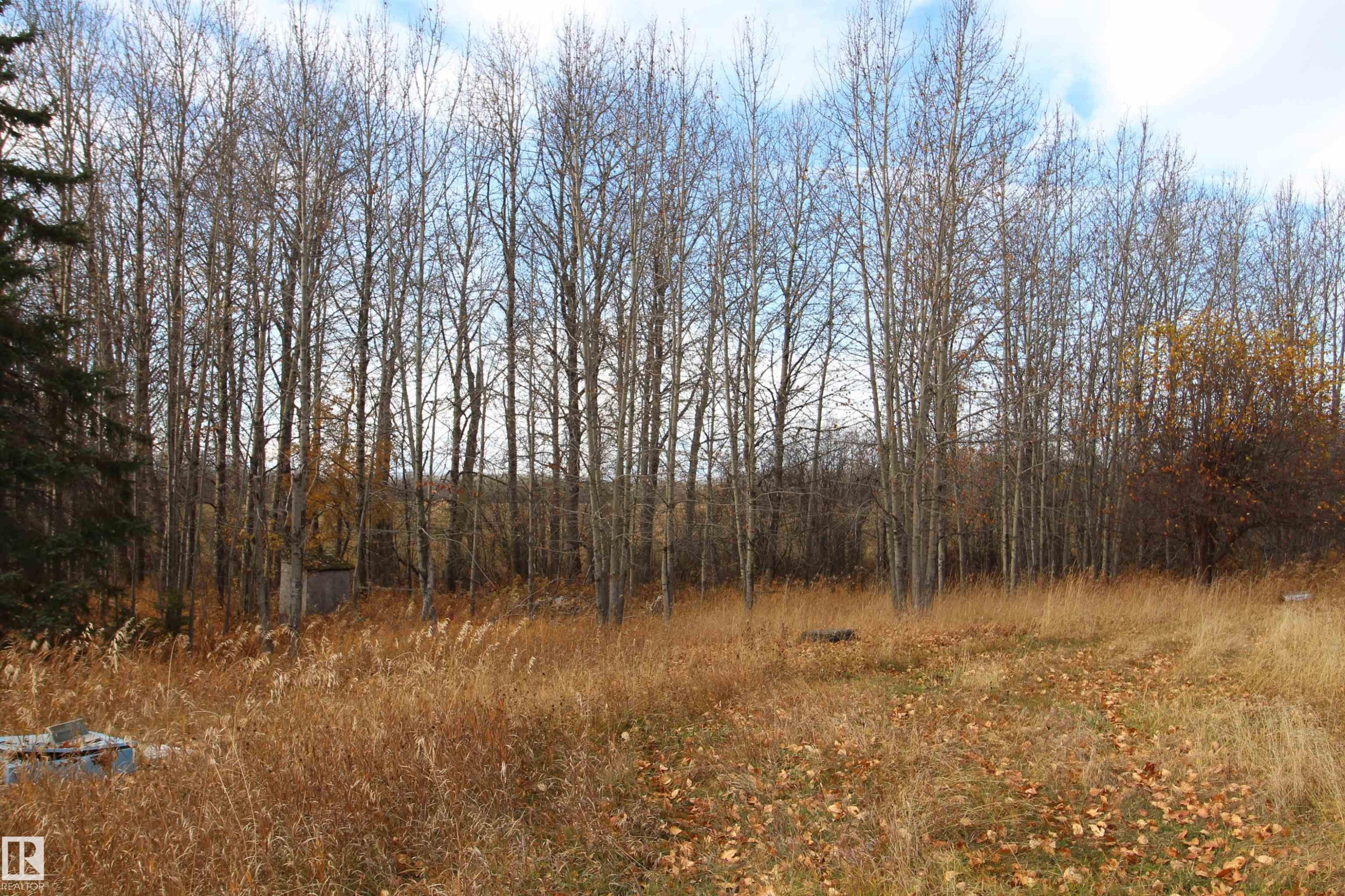 












64430 Rg Rd 265

,
Rural Westlock County,







AB
T0G 0Y0

