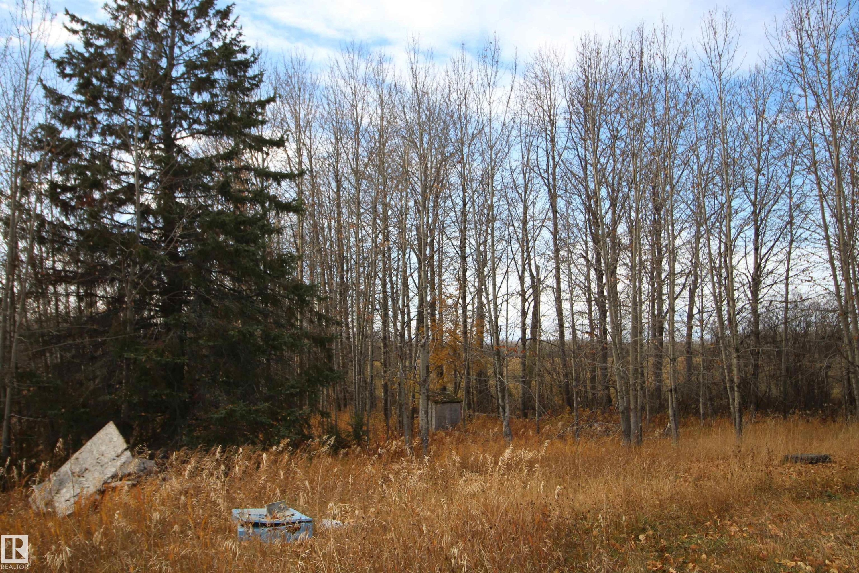 












64430 Rg Rd 265

,
Rural Westlock County,







AB
T0G 0Y0

