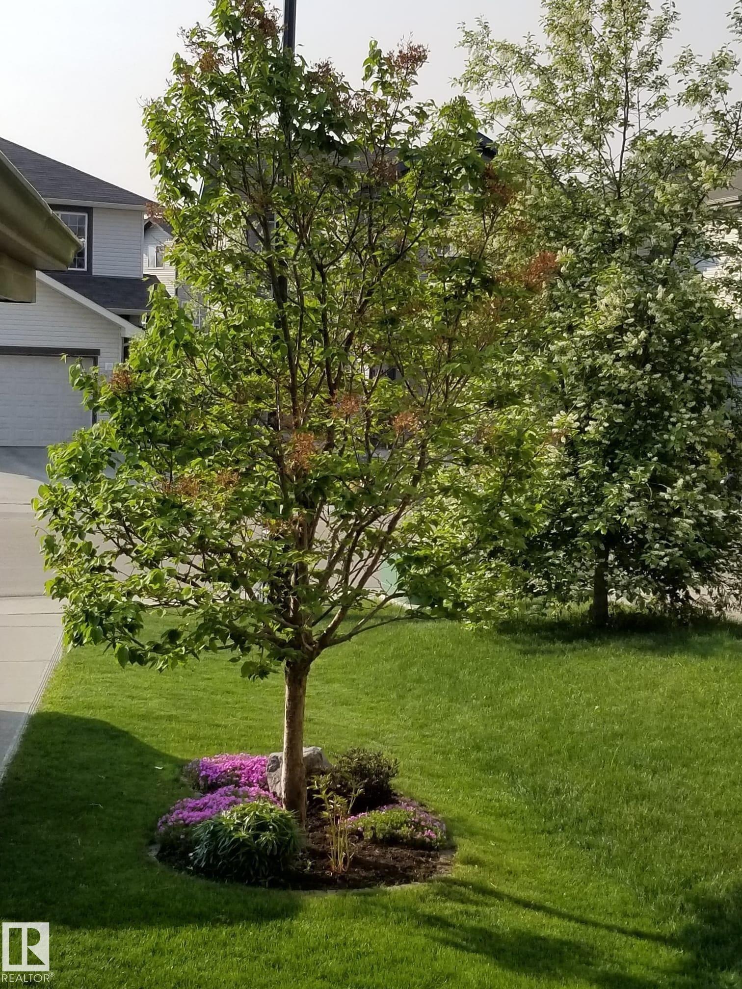 












1310 114B Street

,
Edmonton,




AB
T6W 0G7

