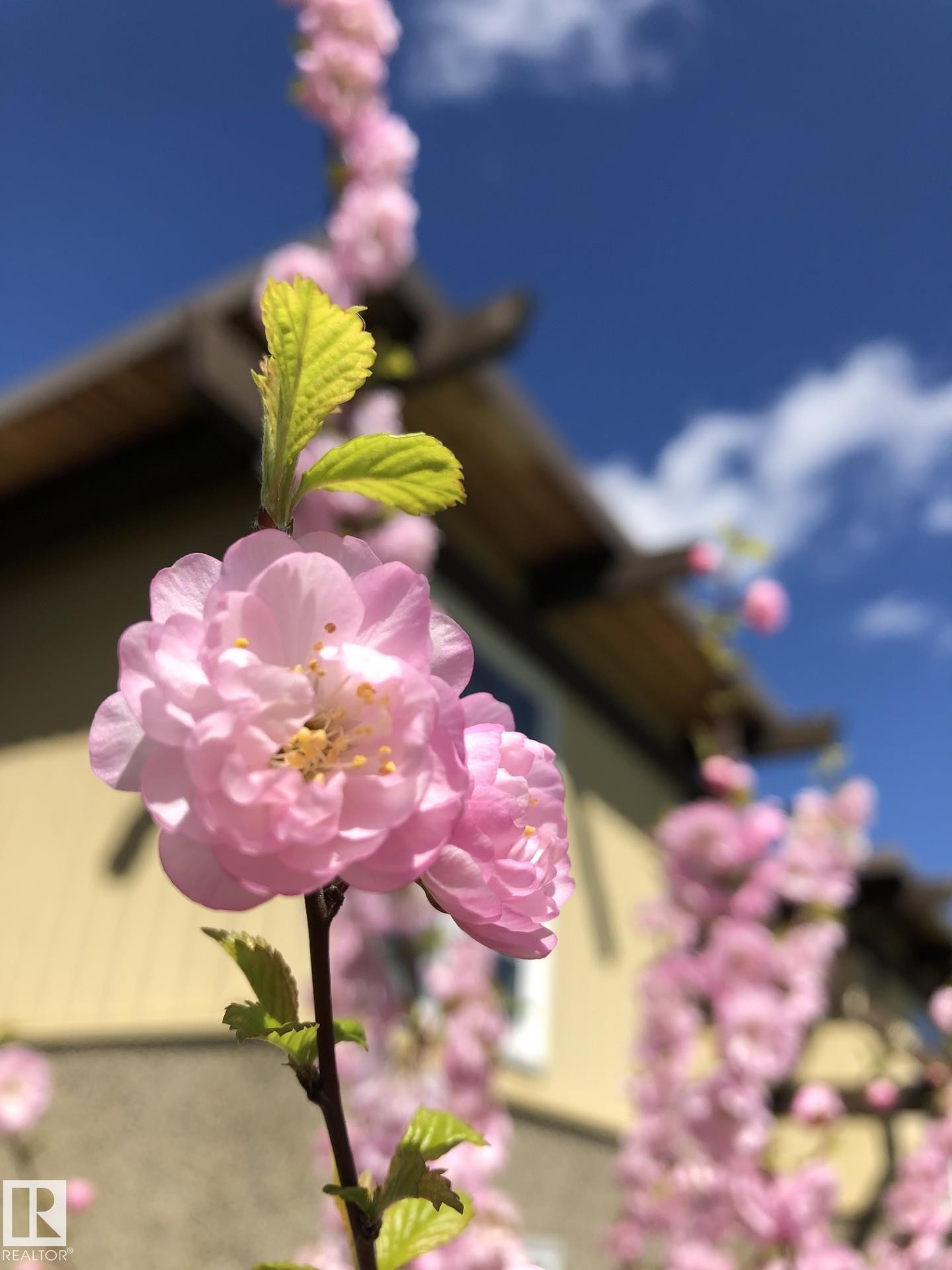 












14622 118 Street

,
Edmonton,




AB
T5X 2J4

