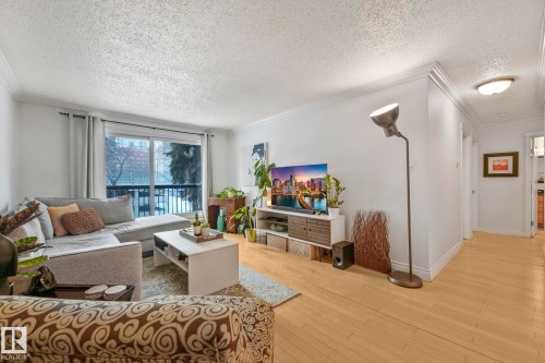 The living area features light-colored flooring, white walls, and crown molding