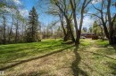 Expansive grassy clearing featuring mature deciduous and coniferous trees