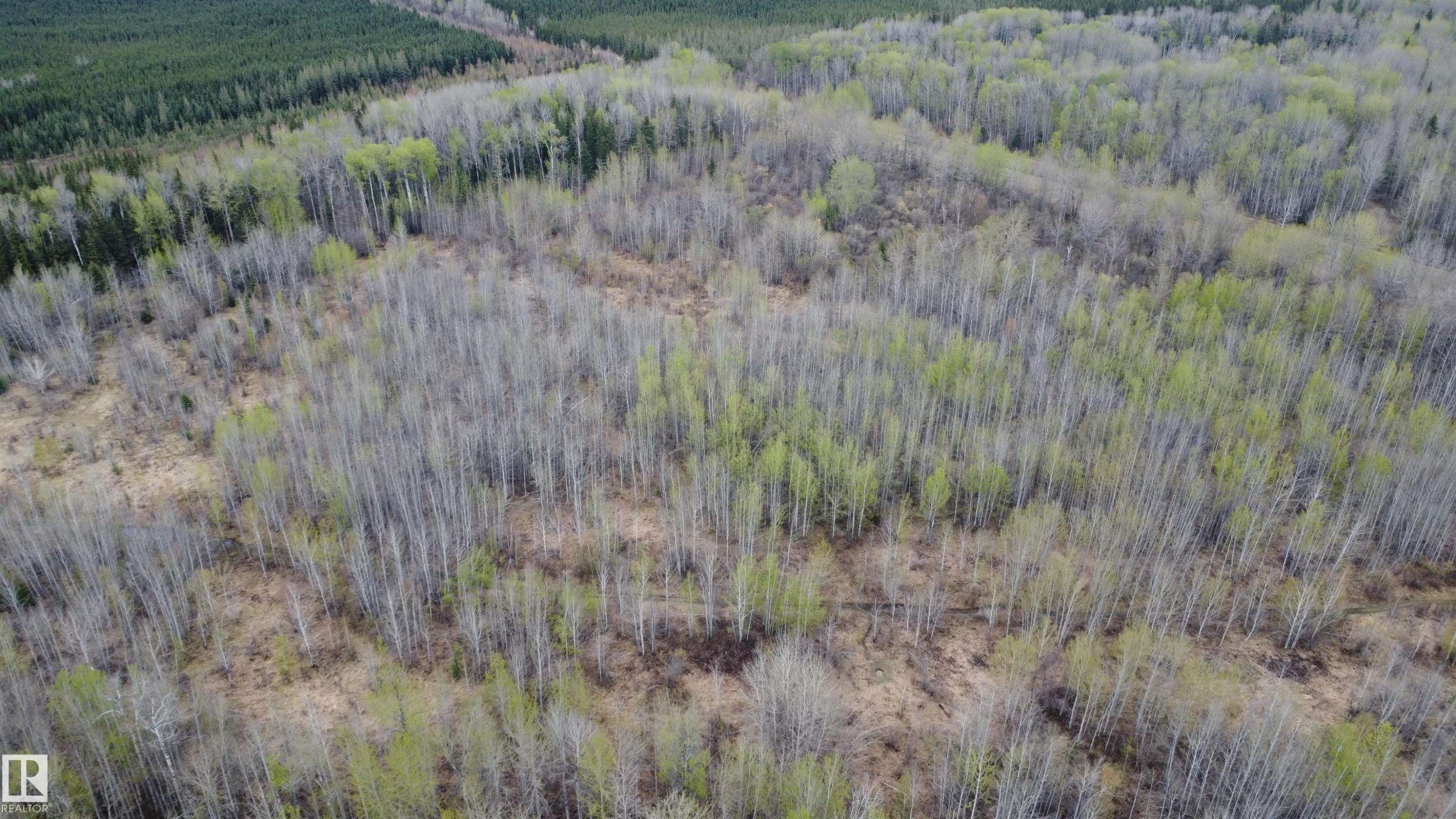 












Hwy 2 RR 263

,
Rural Lesser Slave River M.D.,







AB
T0G 2B0

