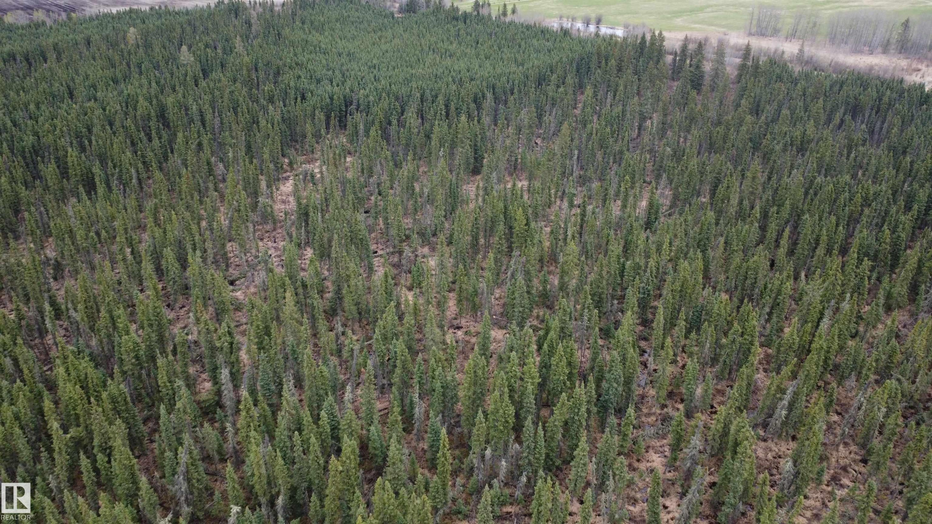 












Hwy 2 RR 263

,
Rural Lesser Slave River M.D.,







AB
T0G 2B0

