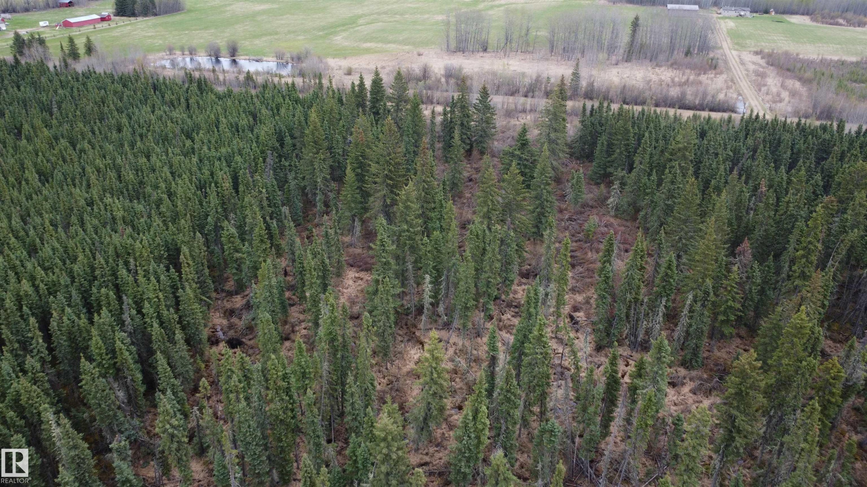 












Hwy 2 RR 263

,
Rural Lesser Slave River M.D.,







AB
T0G 2B0


