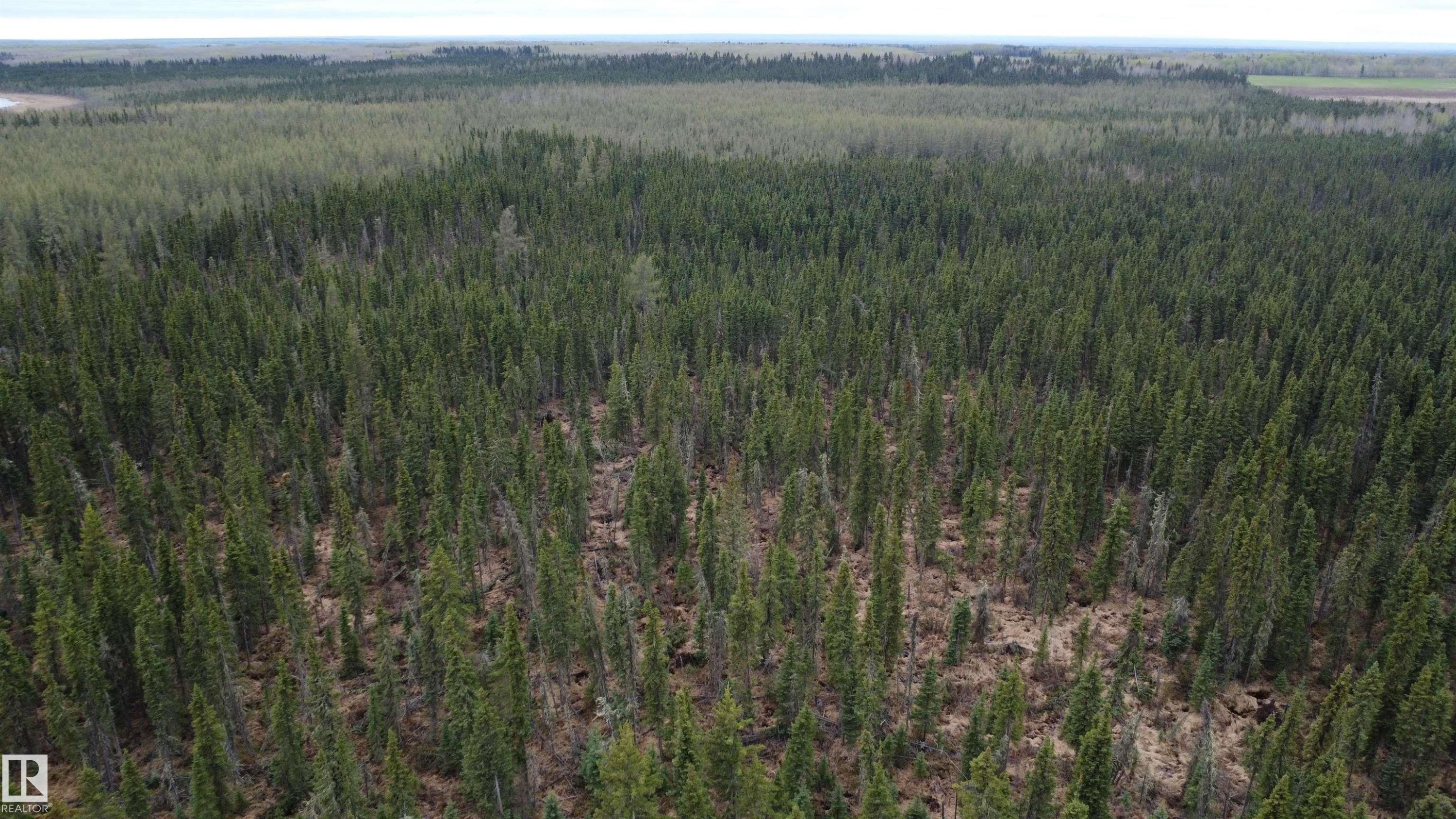 












Hwy 2 RR 263

,
Rural Lesser Slave River M.D.,







AB
T0G 2B0

