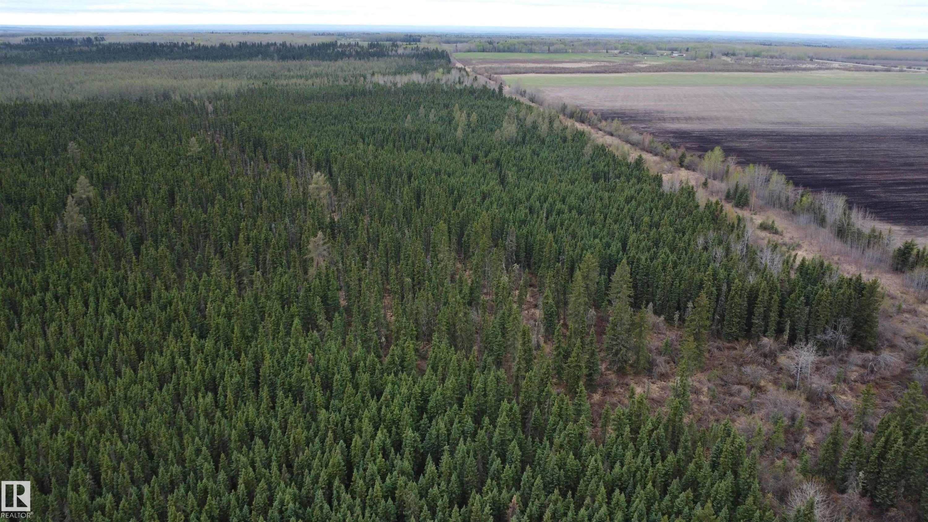 












Hwy 2 RR 263

,
Rural Lesser Slave River M.D.,







AB
T0G 2B0

