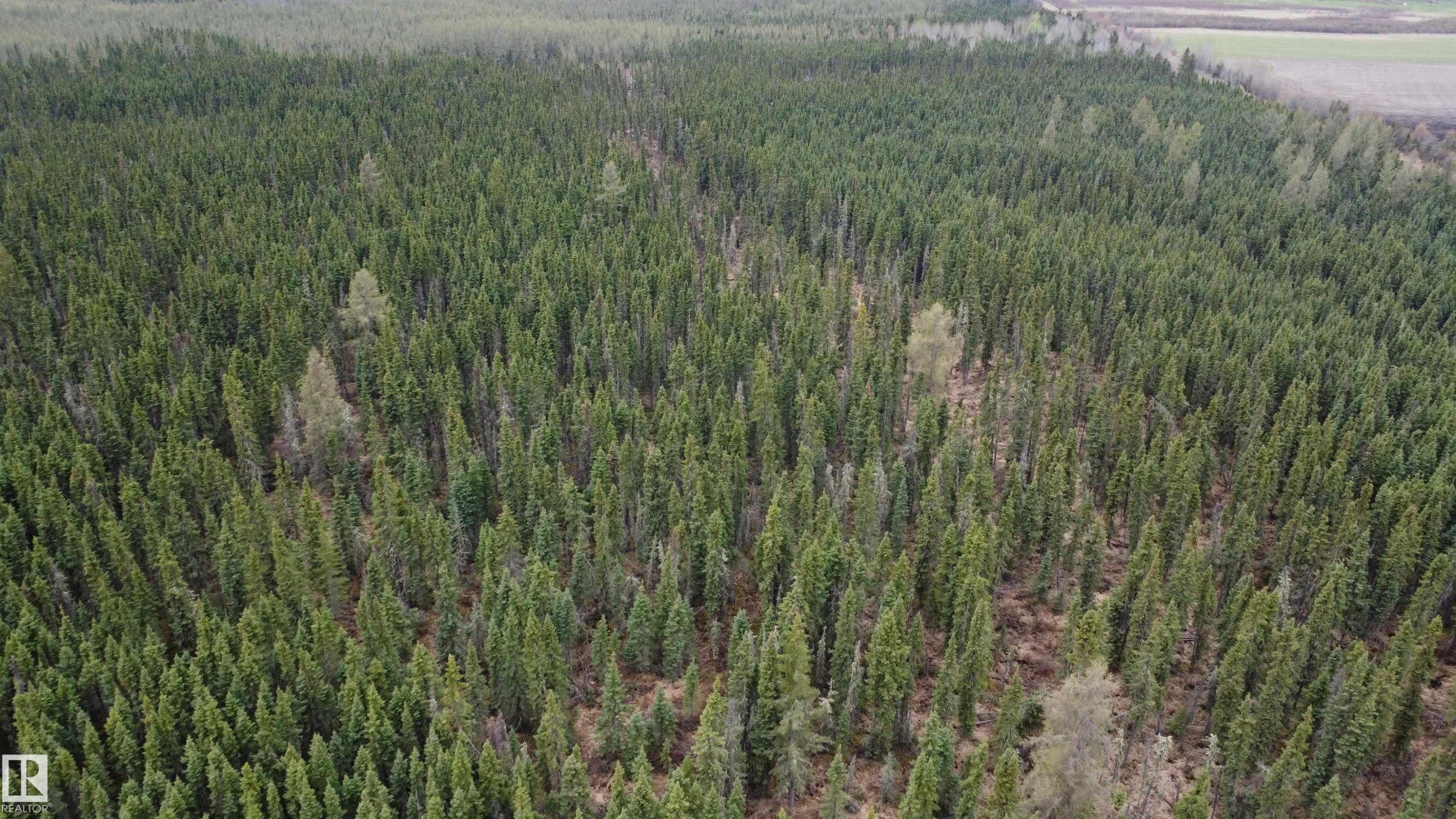 












Hwy 2 RR 263

,
Rural Lesser Slave River M.D.,







AB
T0G 2B0

