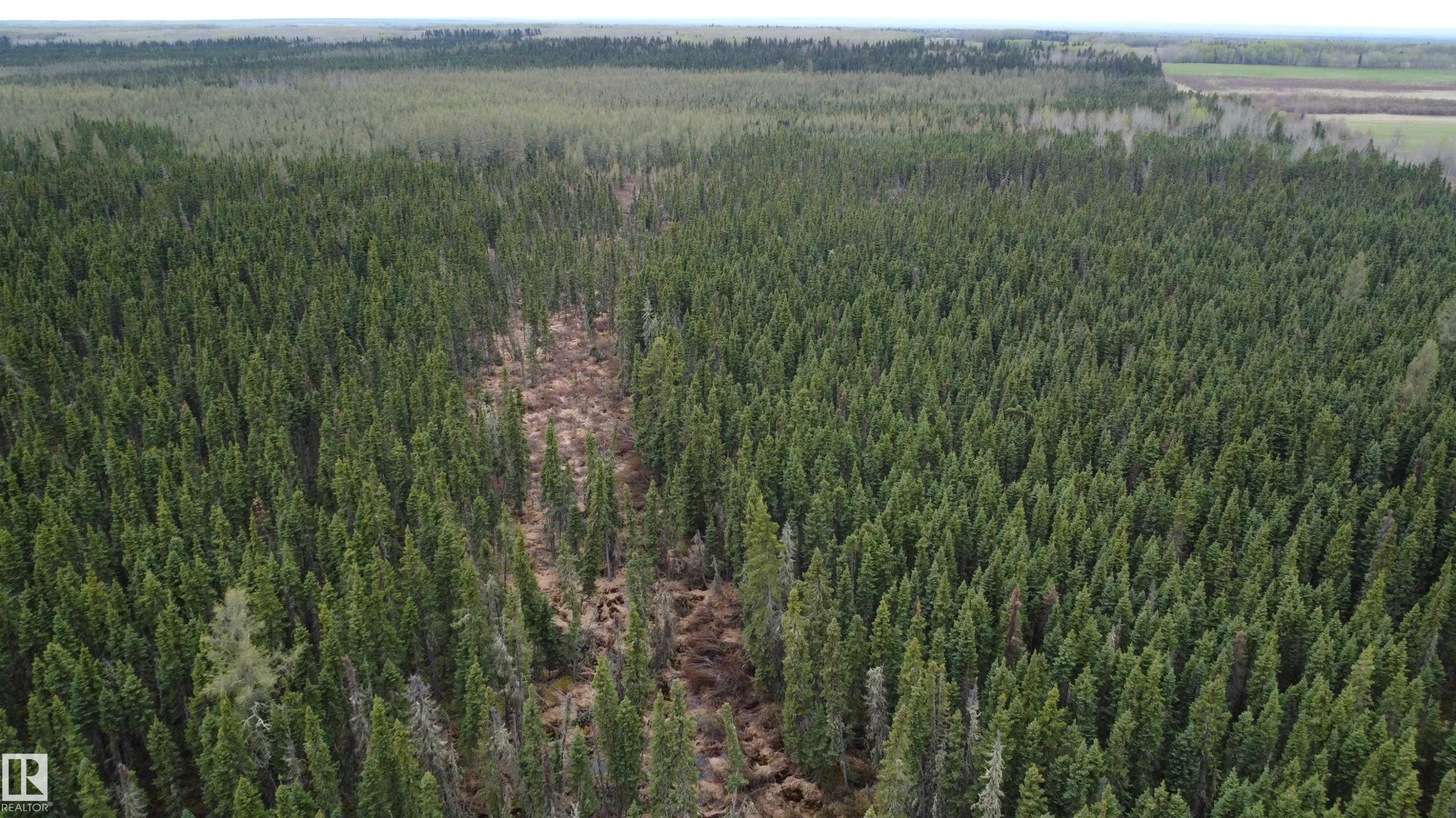 












Hwy 2 RR 263

,
Rural Lesser Slave River M.D.,







AB
T0G 2B0

