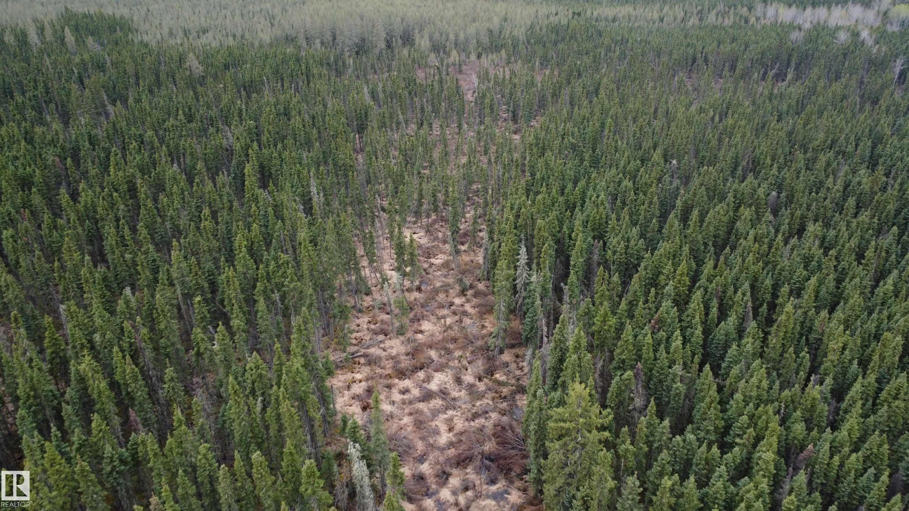












Hwy 2 RR 263

,
Rural Lesser Slave River M.D.,







AB
T0G 2B0

