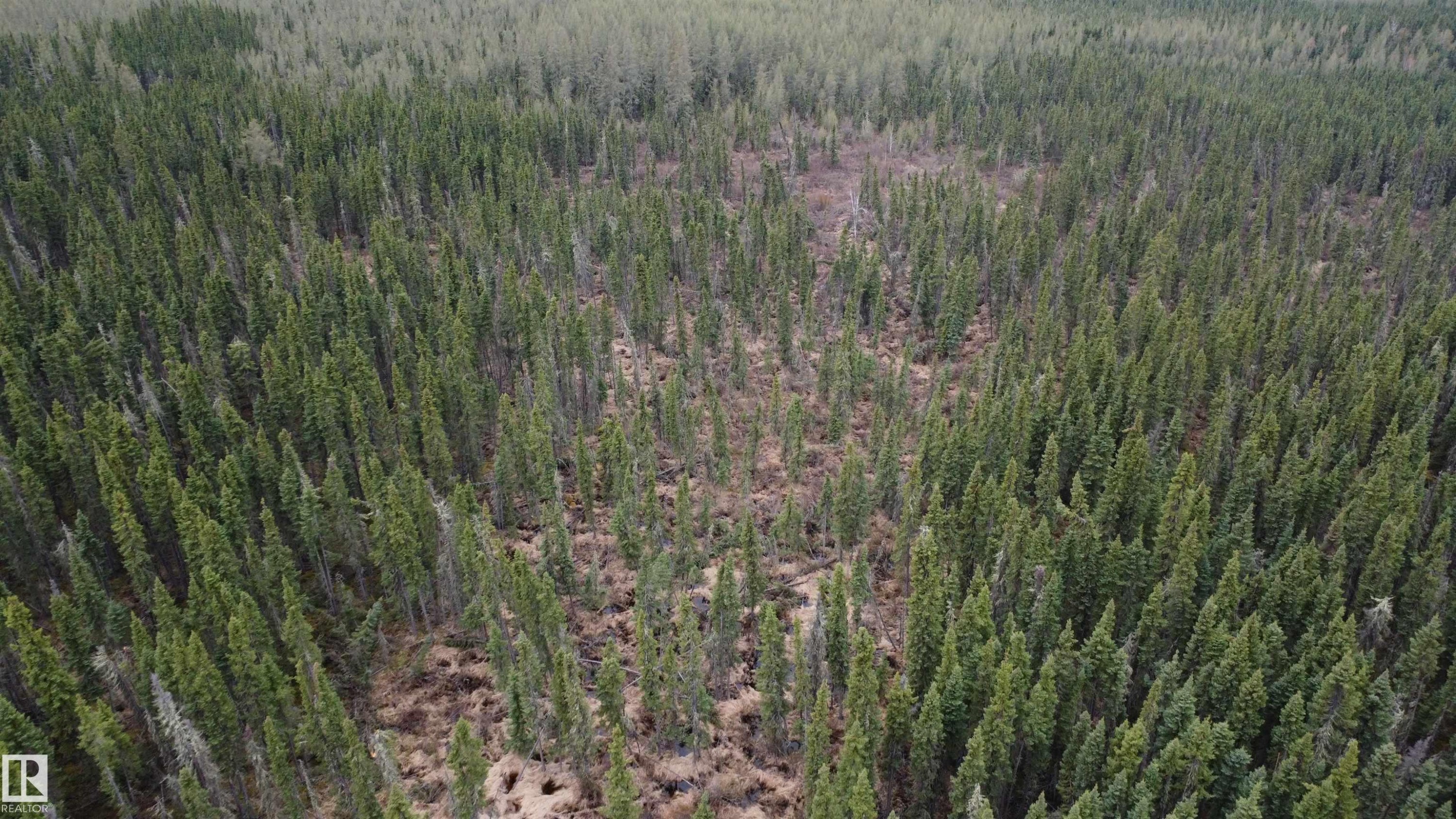 












Hwy 2 RR 263

,
Rural Lesser Slave River M.D.,







AB
T0G 2B0

