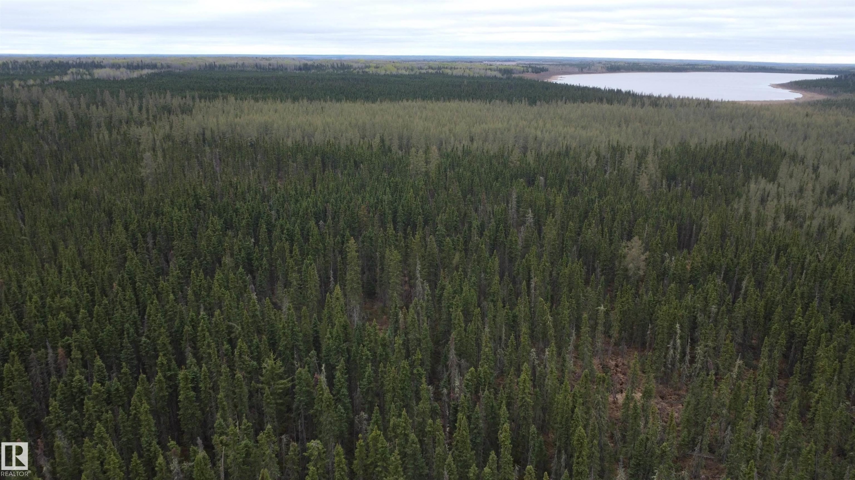












Hwy 2 RR 263

,
Rural Lesser Slave River M.D.,







AB
T0G 2B0

