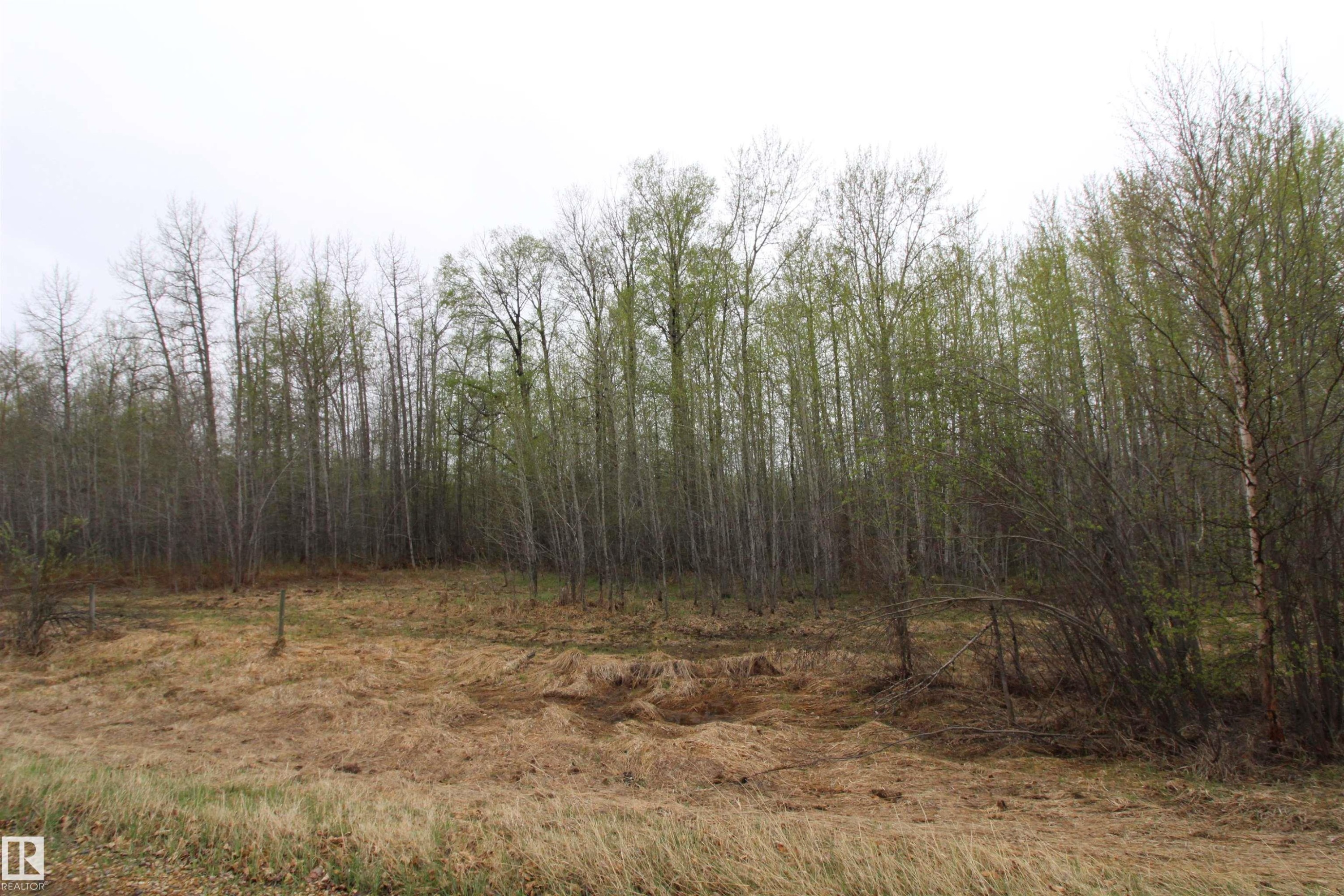 












Hwy 2 RR 263

,
Rural Lesser Slave River M.D.,







AB
T0G 2B0

