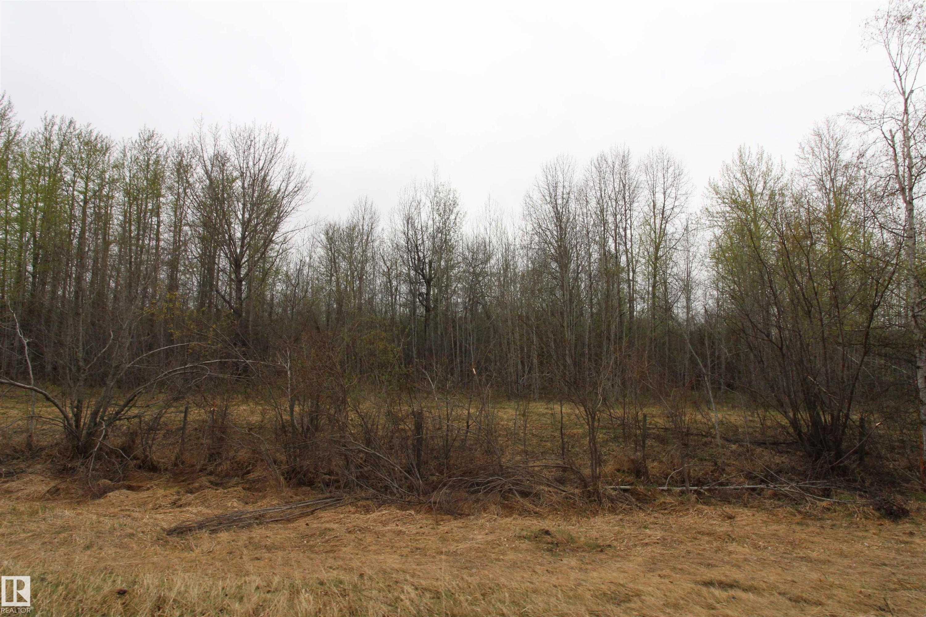 












Hwy 2 RR 263

,
Rural Lesser Slave River M.D.,







AB
T0G 2B0

