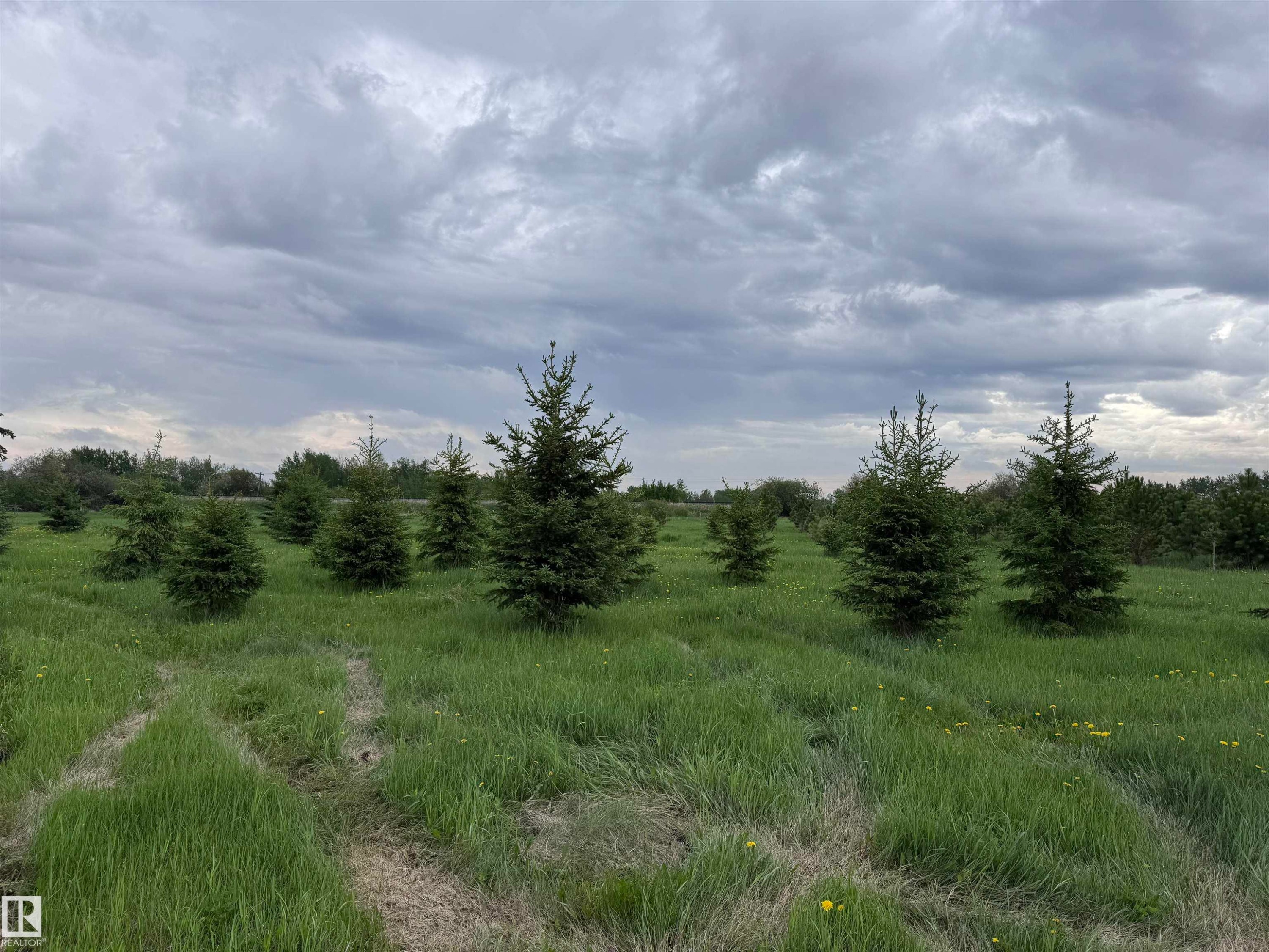 












57532 Rg Rd 270 

,
Rural Westlock County,




AB
T0G 0H0

