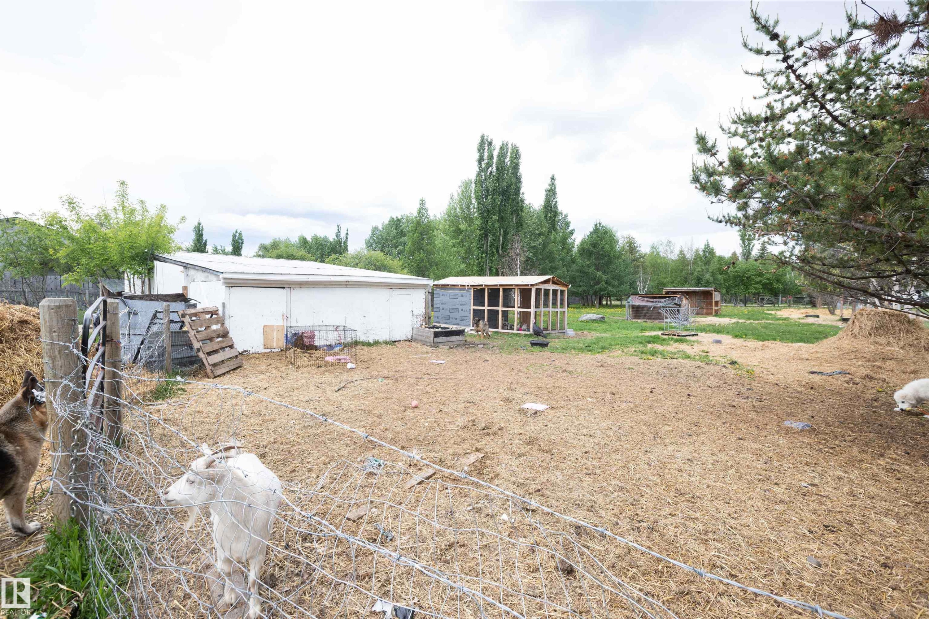 












209 5128 Highway 18 

,
Rural Barrhead County,




AB
T7N 1N3

