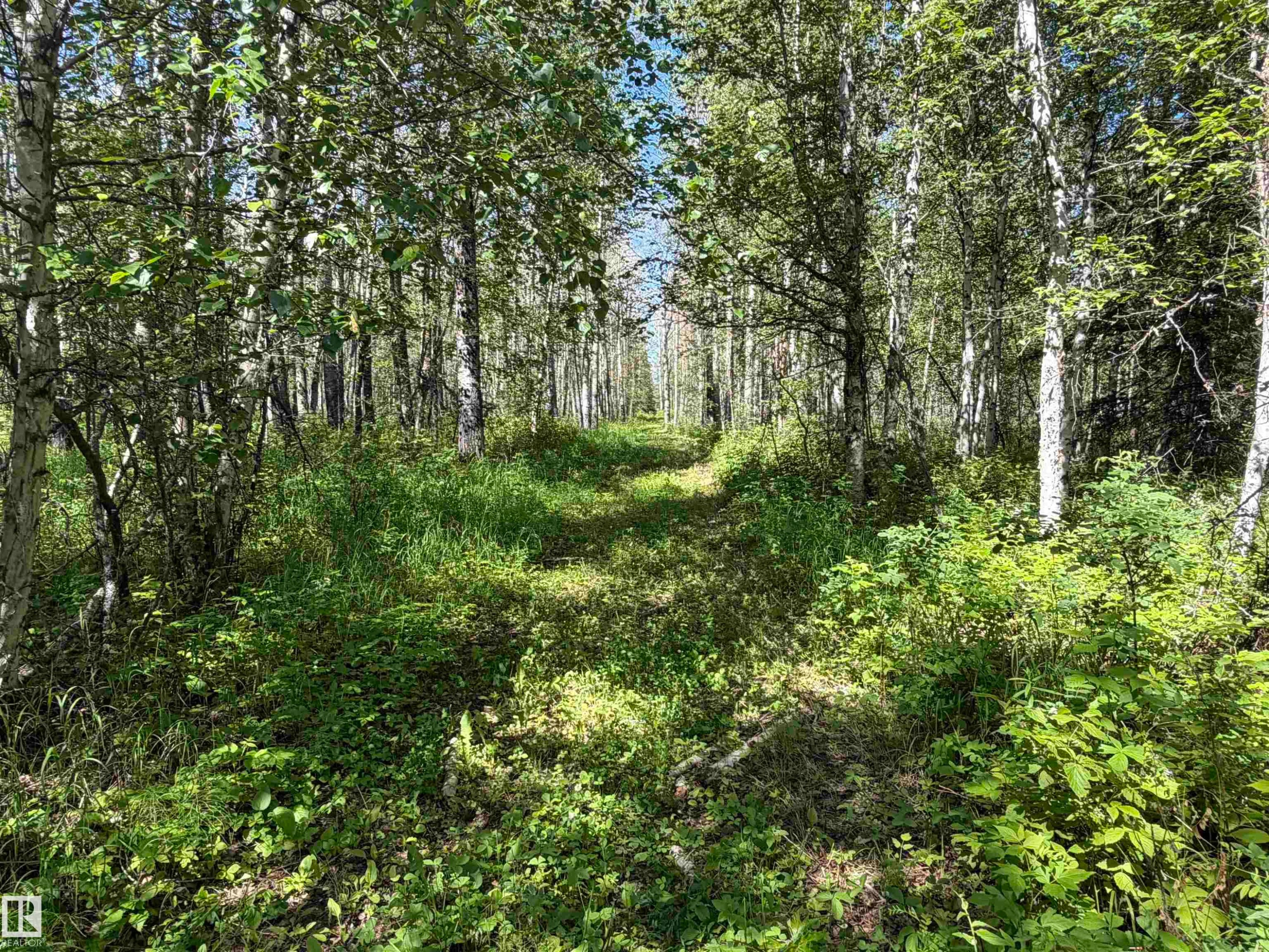 












SE-35-63-25-W4 . 

,
Rural Athabasca County,







AB
T0G 1T0

