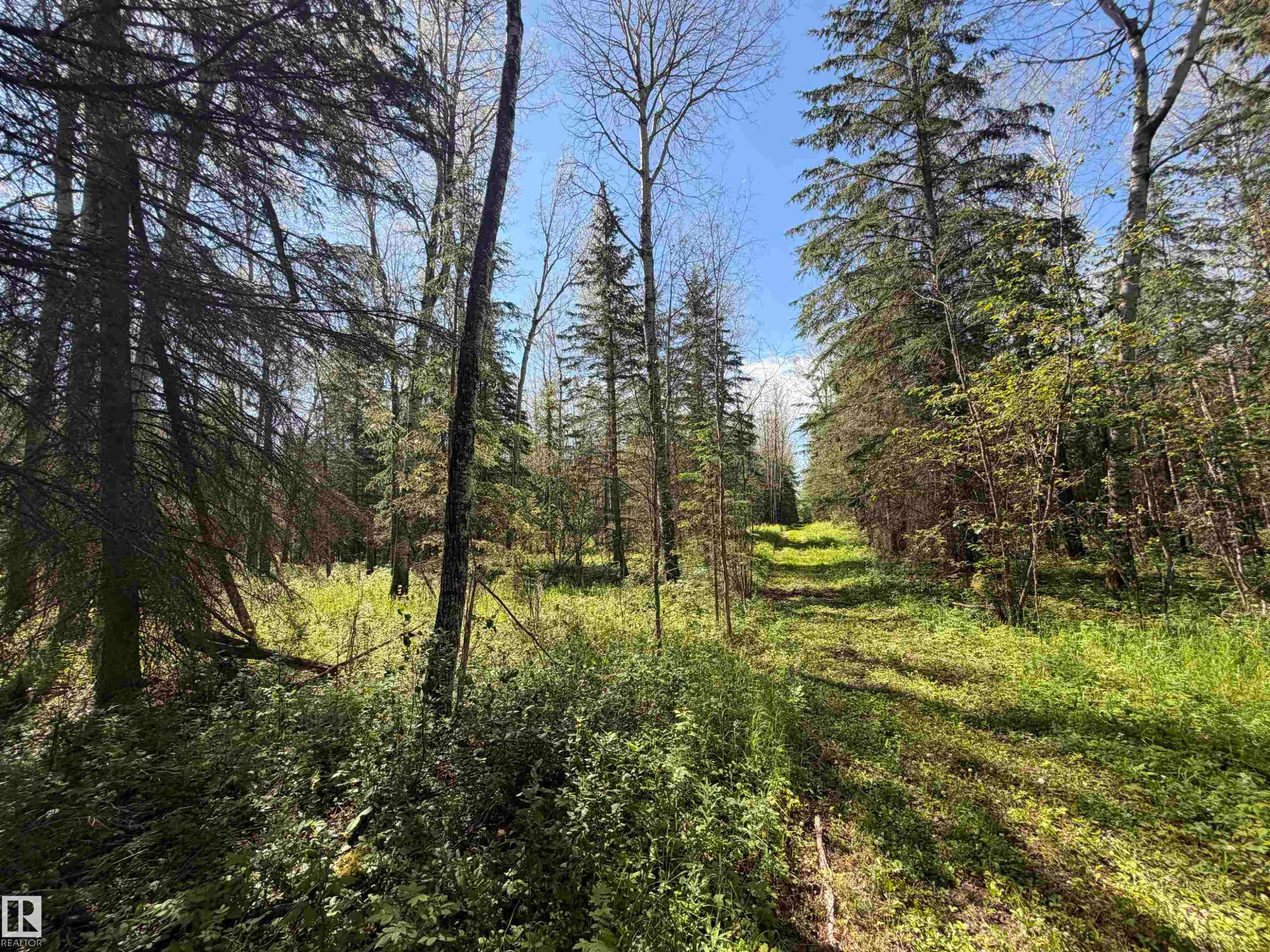 












SE-35-63-25-W4 . 

,
Rural Athabasca County,







AB
T0G 1T0

