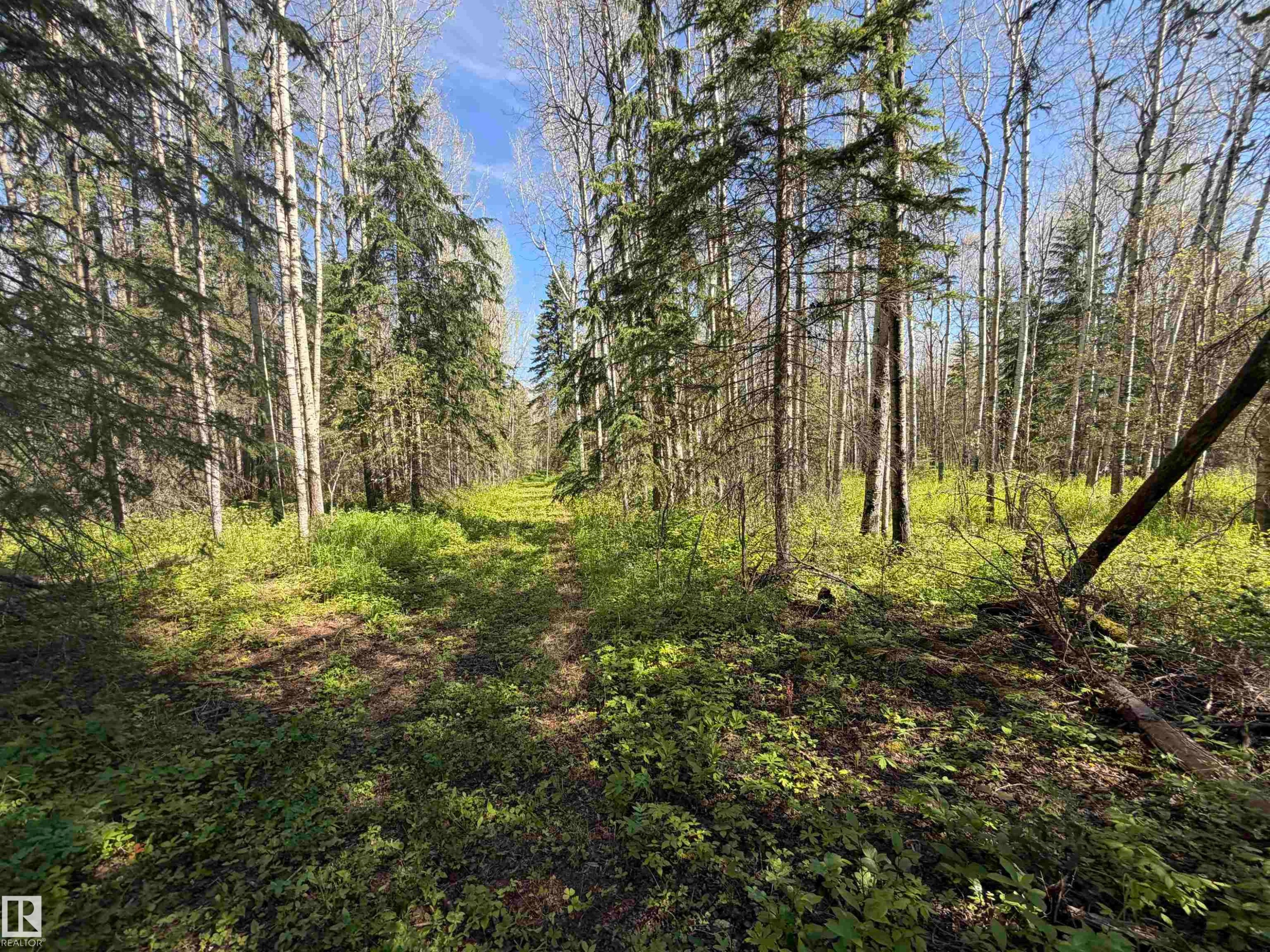 












SE-35-63-25-W4 . 

,
Rural Athabasca County,







AB
T0G 1T0

