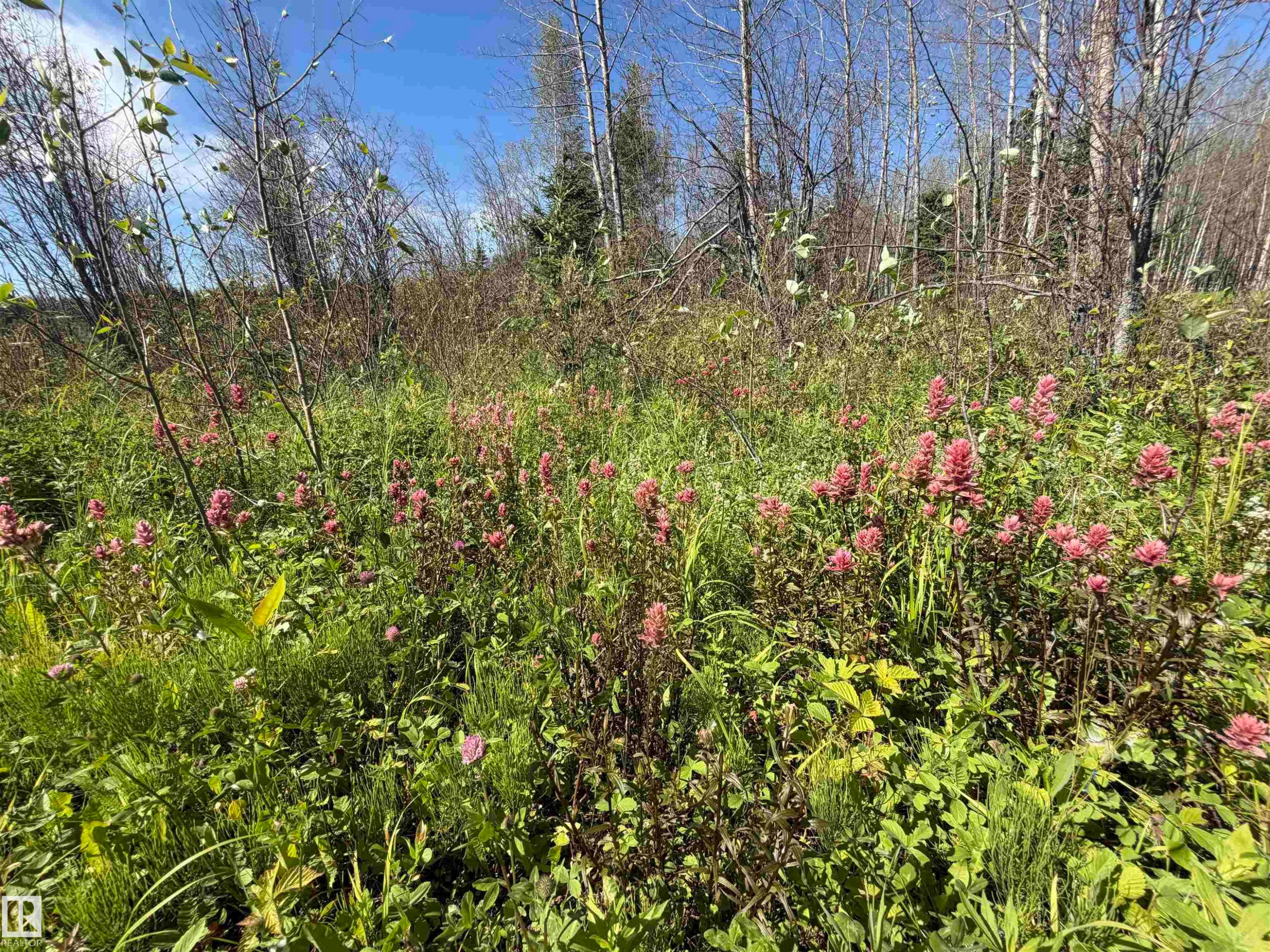












SE-35-63-25-W4 . 

,
Rural Athabasca County,







AB
T0G 1T0

