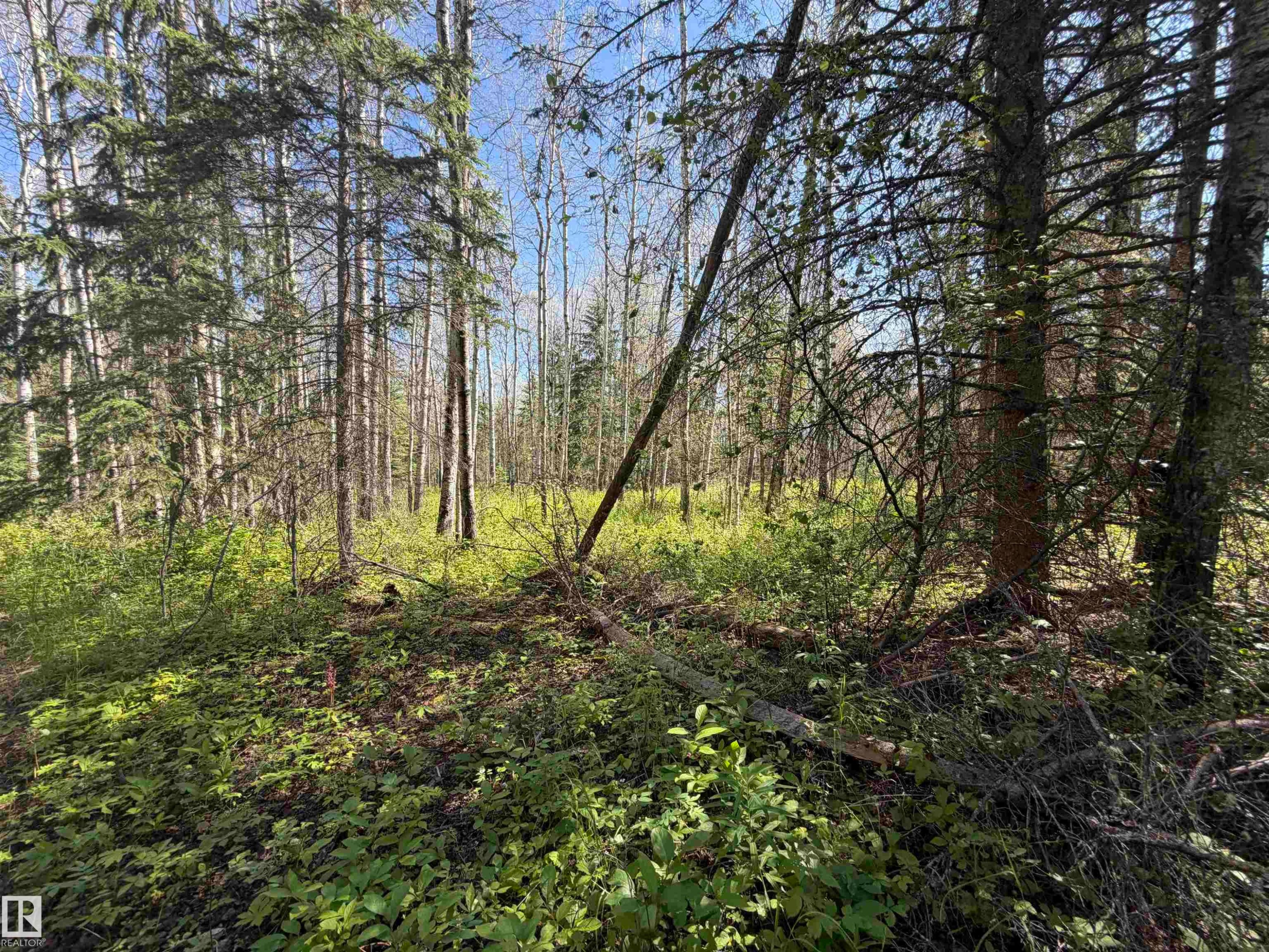 












SE-35-63-25-W4 . 

,
Rural Athabasca County,







AB
T0G 1T0

