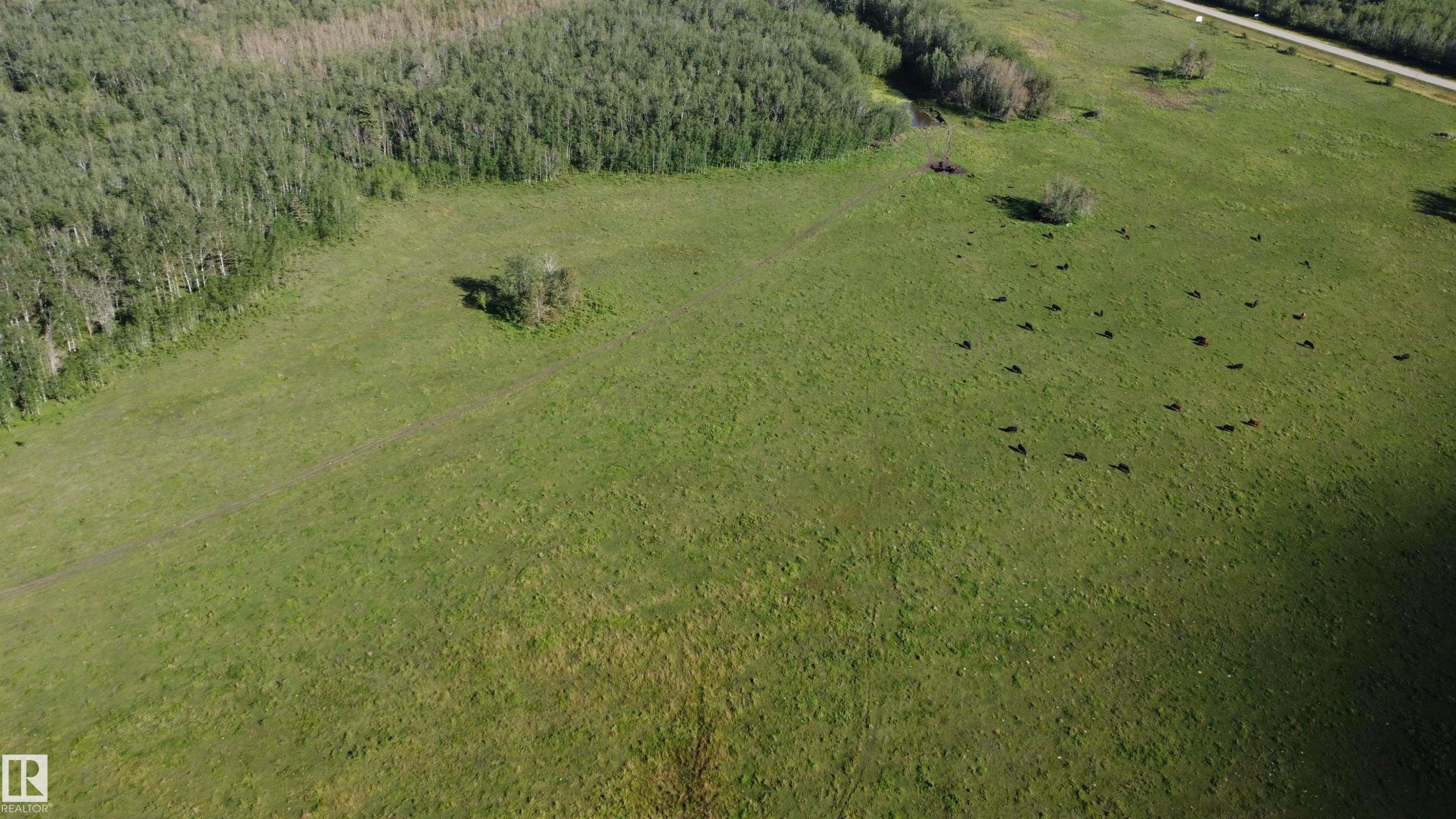 












Hwy 18 Rg Rd 233 

,
Rural Westlock County,







AB
T0G 0P0

