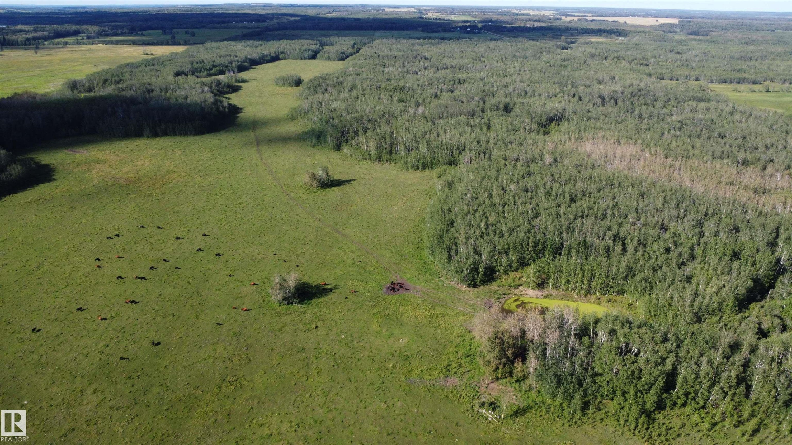 












Hwy 18 Rg Rd 233 

,
Rural Westlock County,







AB
T0G 0P0

