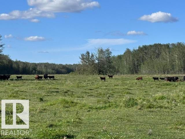 












Hwy 18 Rg Rd 233 

,
Rural Westlock County,







AB
T0G 0P0

