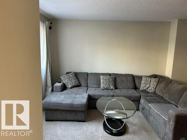 












32 Belmead GD NW

,
Edmonton,




AB
T5T 1J1

