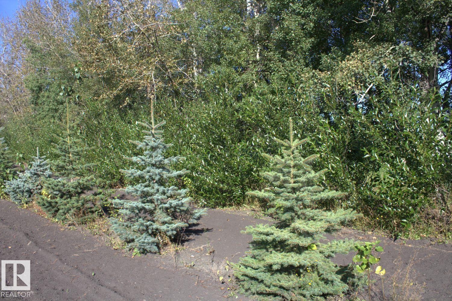 












Twp Rd 610 Rg Rd 253 

,
Rural Westlock County,







AB
T0G 0P0

