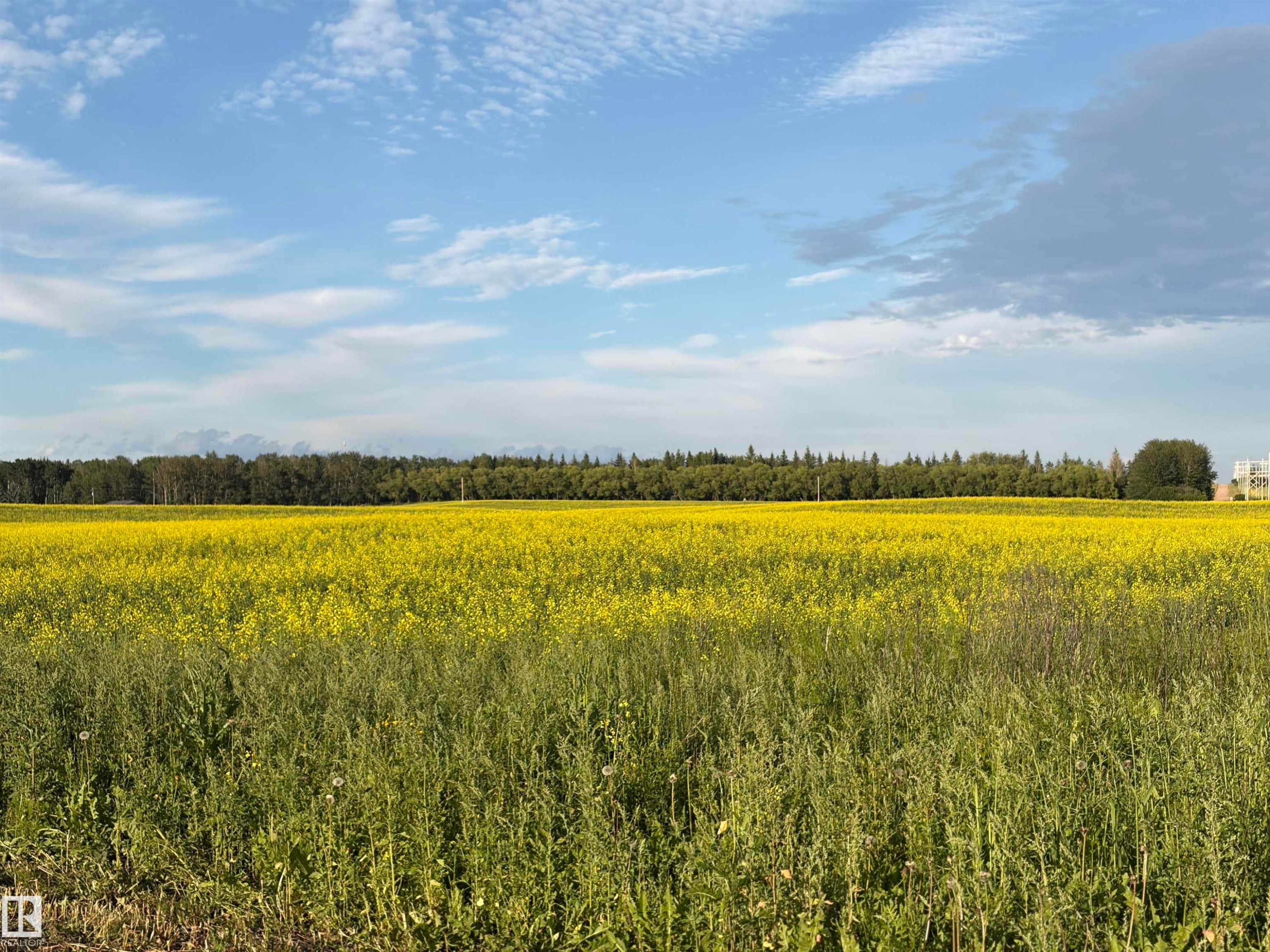 












27132A Twp Rd 632 

,
Rural Westlock County,




AB
T0G 1H0

