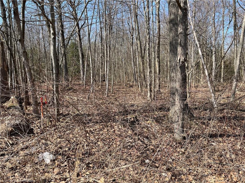 









527


Avalon

Lane,
Simcoe,







ON
N3Y 4K2

