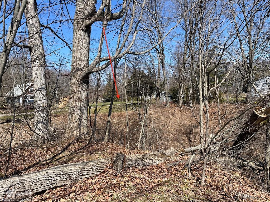 









527


Avalon

Lane,
Simcoe,







ON
N3Y 4K2

