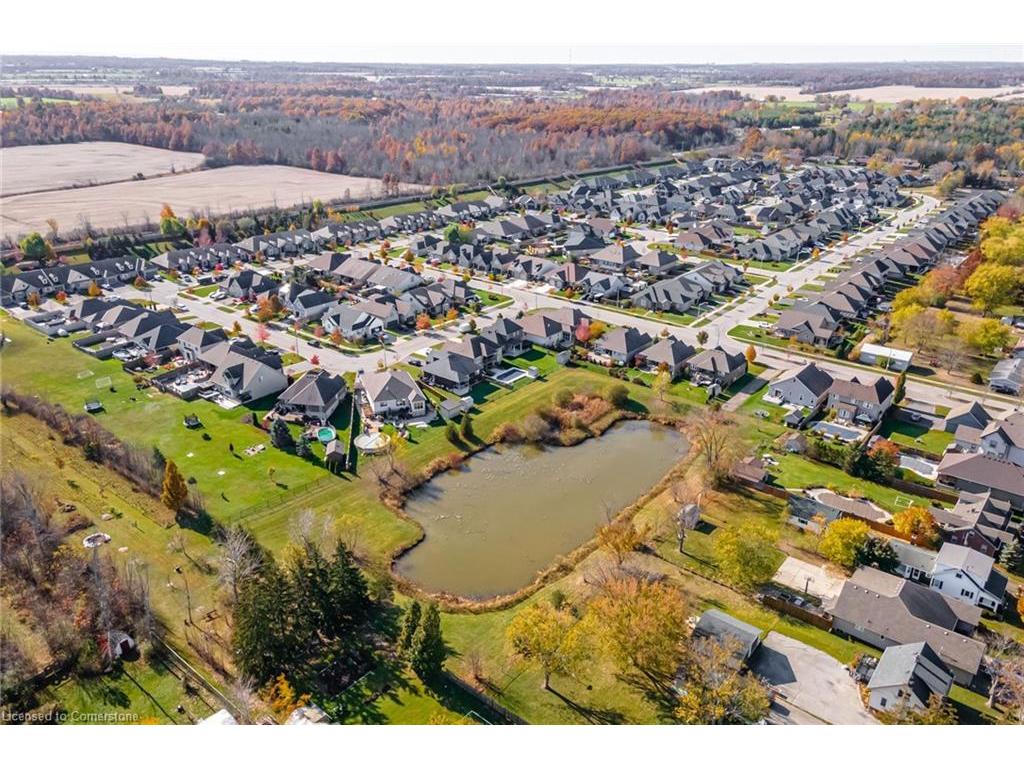 









4003


Lower Coach

Road,
Stevensville,




ON
L0S 1S0

