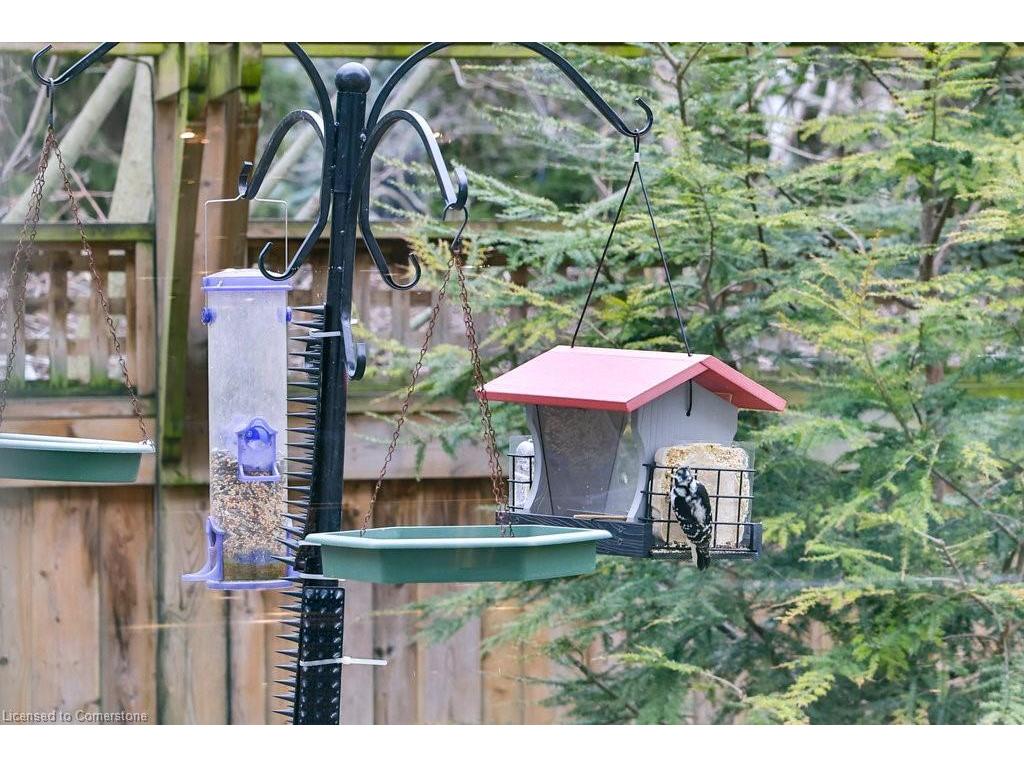 









92


Pinetree

Way,
Mississauga,




ON
L5G 2R1

