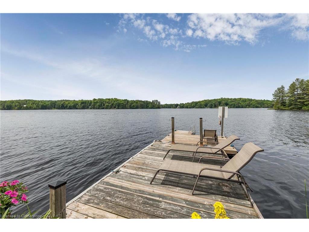 









501


North Bay Lake

Road,
Emsdale,




ON
P0A 1J0

