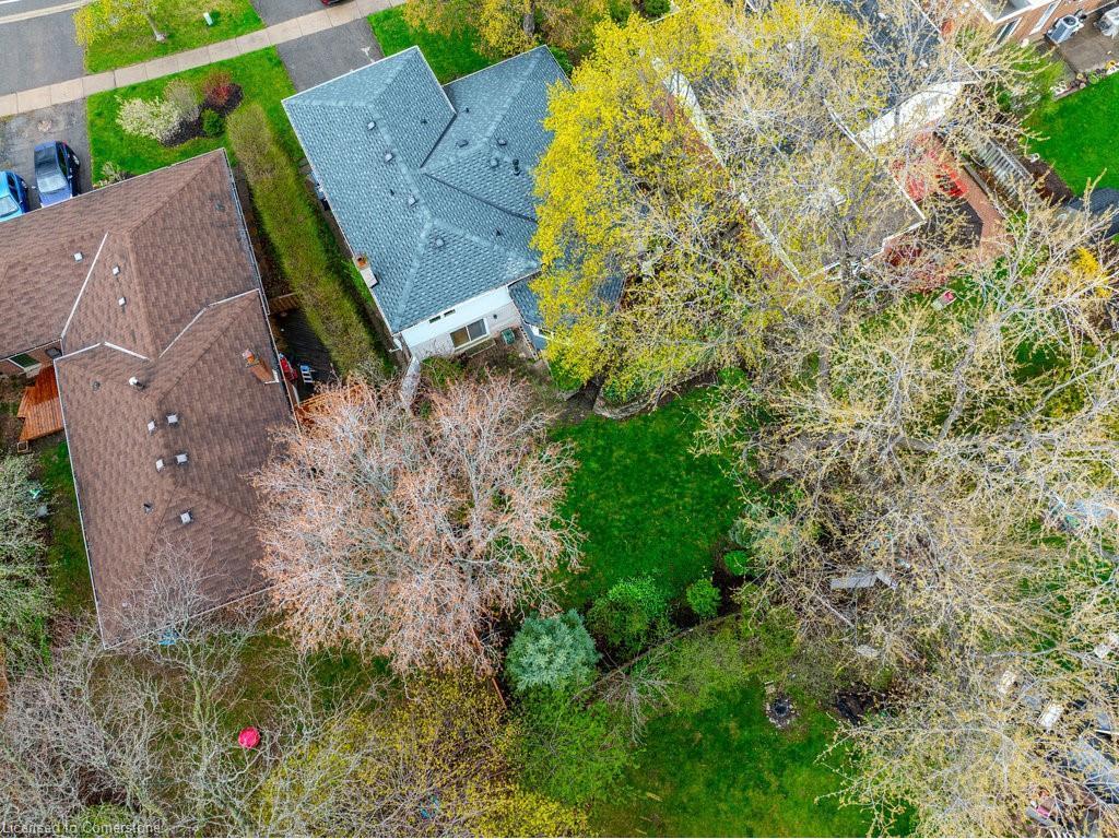 









2524


Homelands

Drive,
Mississauga,




ON
L5K 1H4

