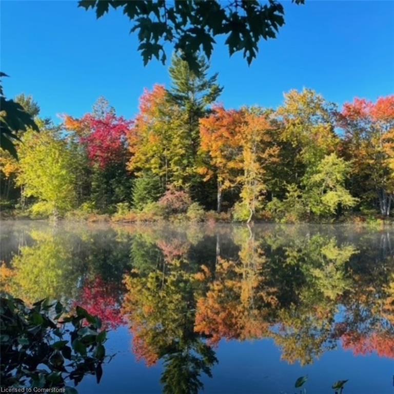 









629


Bowen

Road,
Havelock-Belmont-Methuen Twp,







ON
K0L 1Z0

