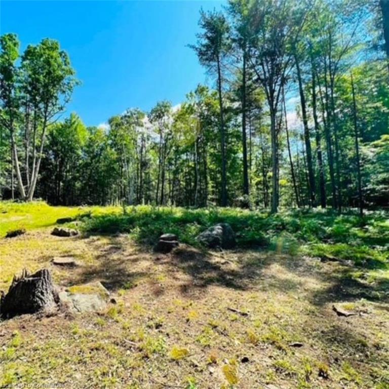









629


Bowen

Road,
Havelock-Belmont-Methuen Twp,







ON
K0L 1Z0

