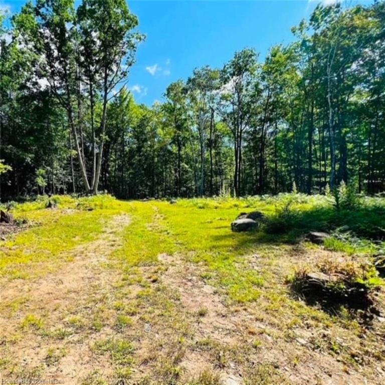 









629


Bowen

Road,
Havelock-Belmont-Methuen Twp,







ON
K0L 1Z0

