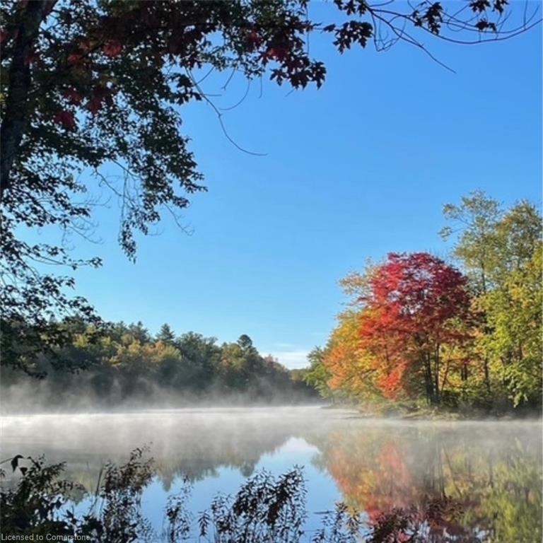 









629


Bowen

Road,
Havelock-Belmont-Methuen Twp,







ON
K0L 1Z0

