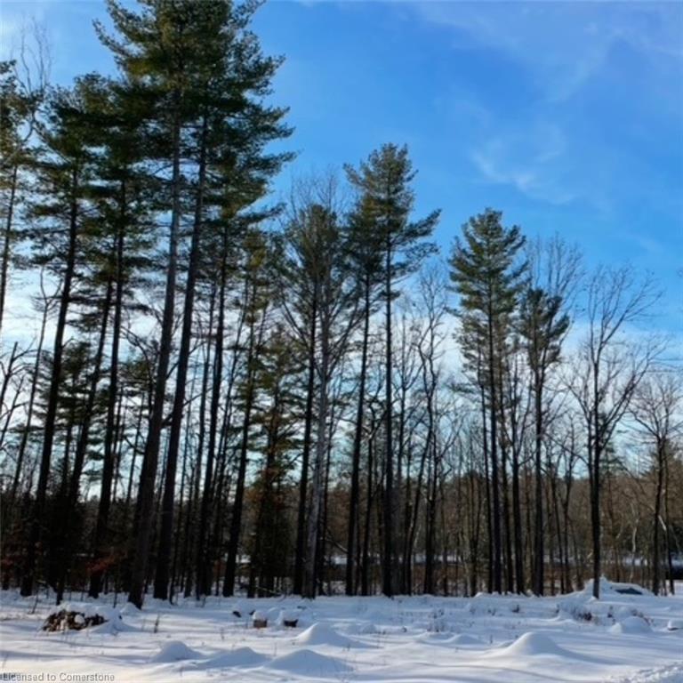 









629


Bowen

Road,
Havelock-Belmont-Methuen Twp,







ON
K0L 1Z0

