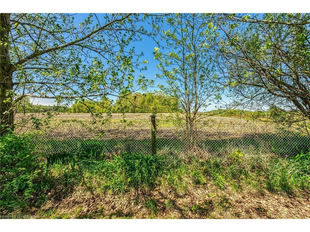









199


Dickhout

Road,
Lowbanks,







ON
N0A 1K0

